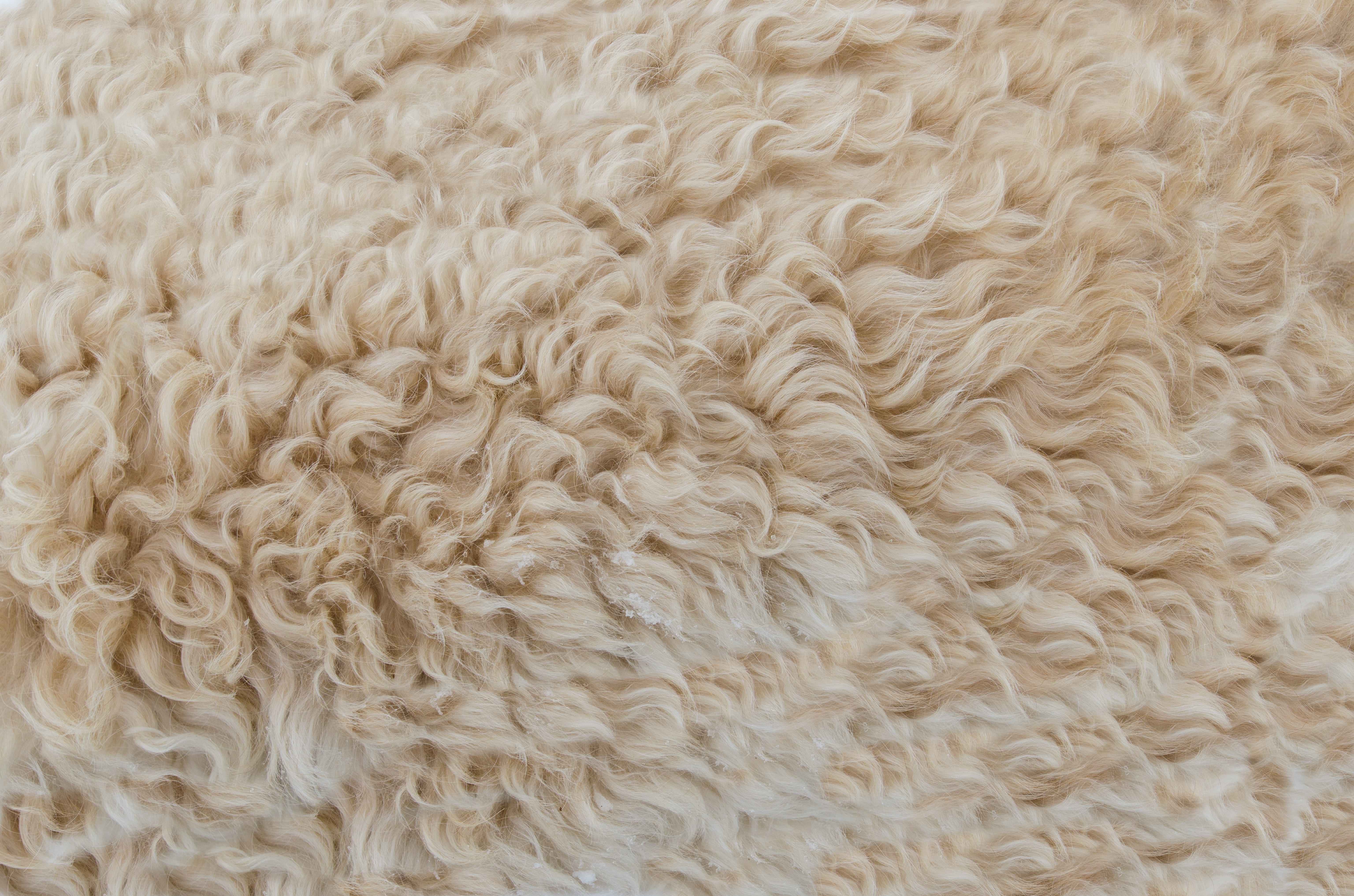 fabric, animal themes, full frame, pattern, color, design, 5K, animal, no people, animal body part, style, wool, beige, softness, natural, close-up, fur, HD Wallpaper