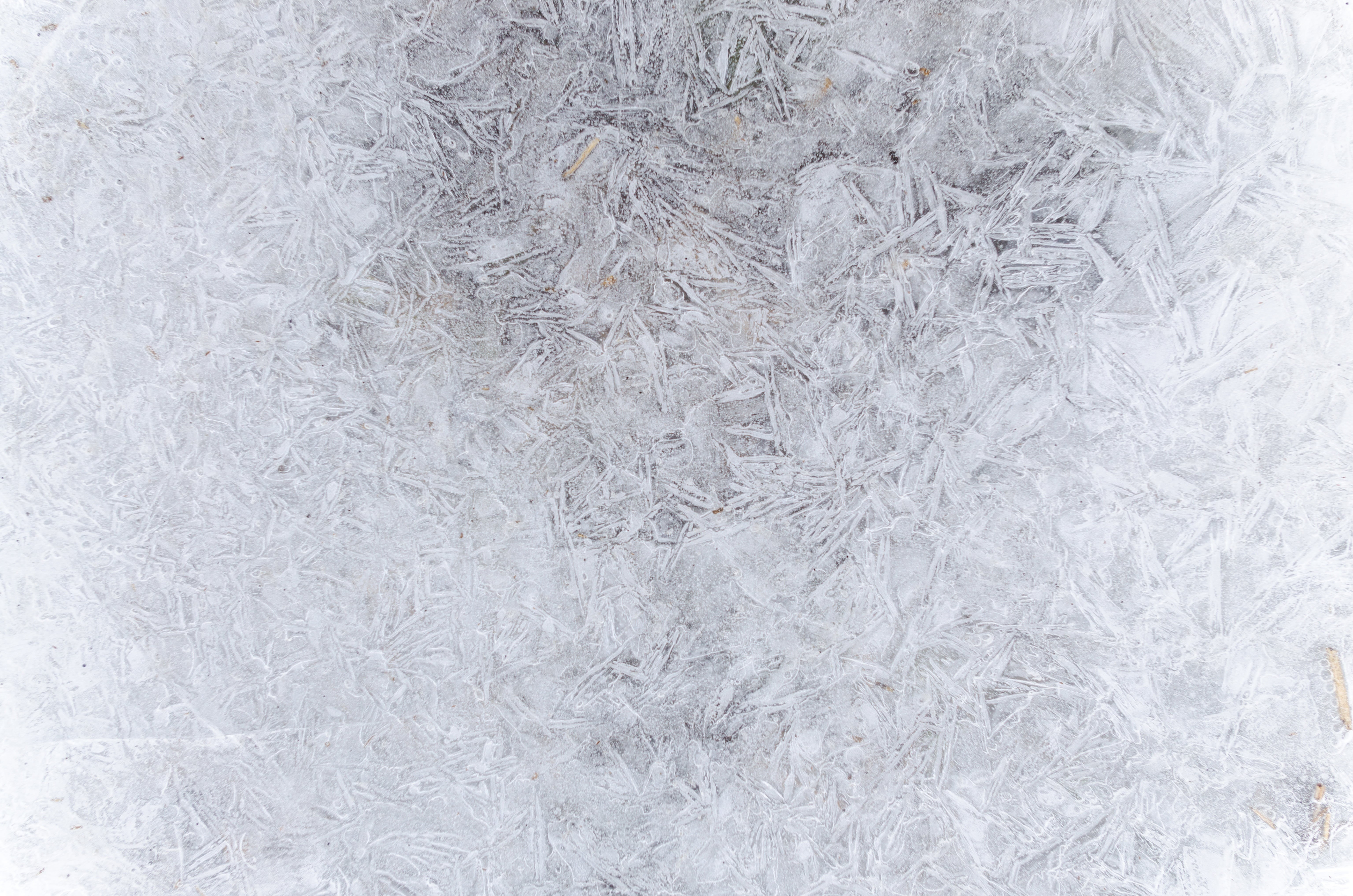 white color, backdrop, textured, backgrounds, cold temperature, arctic, christmas, frozen, closeup, ze, no people, cold, frosty, seasonal, ice, window, HD Wallpaper