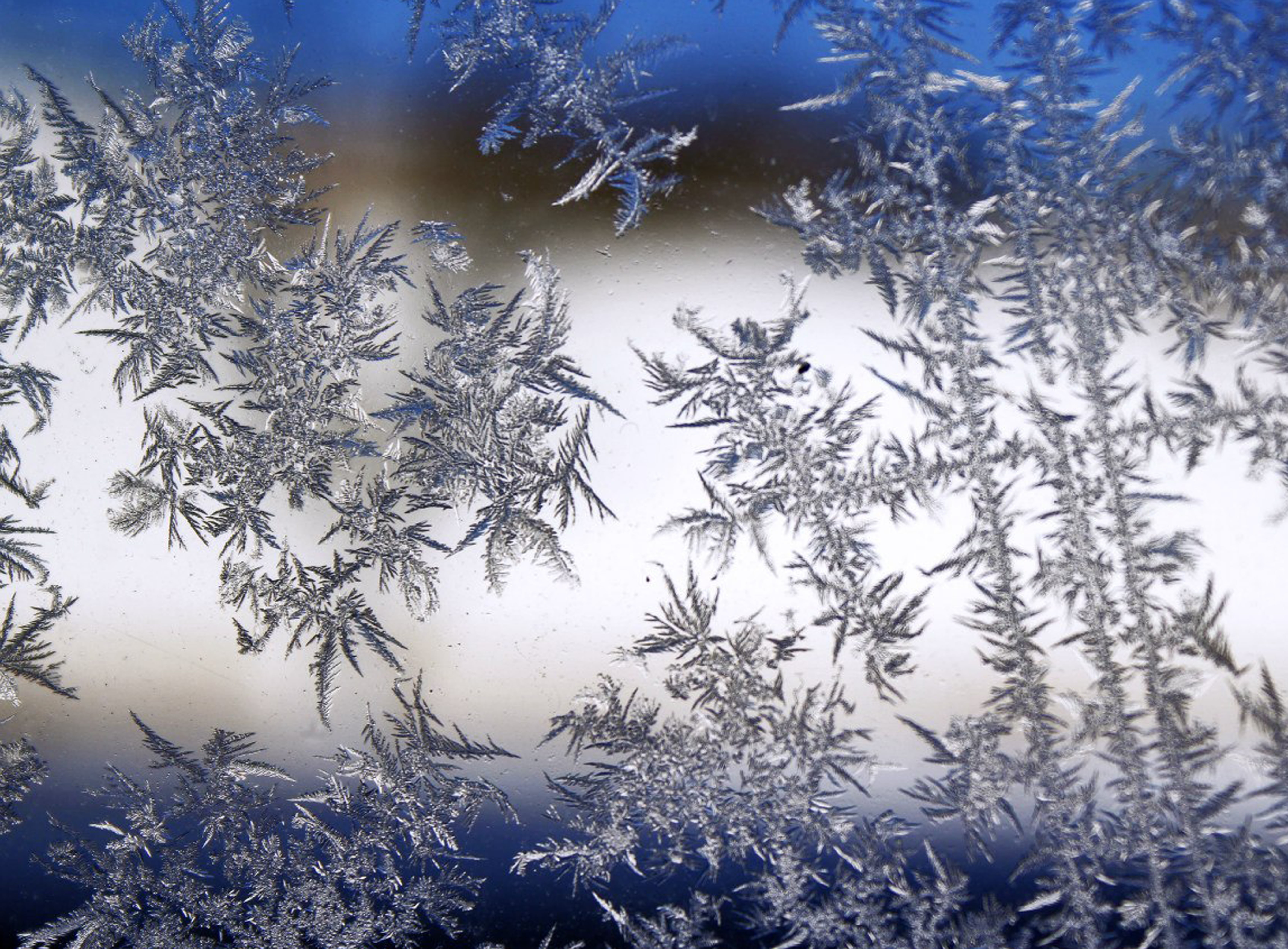 cold, ice, no people, day, close-up, pine tree, frozen, outdoors, krupnyj plan, nature, beauty in nature, design, landscape, cold - Temperature, plant, HD Wallpaper