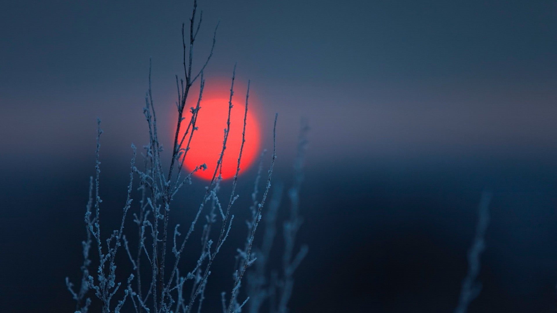 tranquility, sunset, close-up, nature, motion, environment, water, 1080P, orange color, nature landscape minimalism clear sky simple sun sunset winter frost plants branch blue, HD Wallpaper
