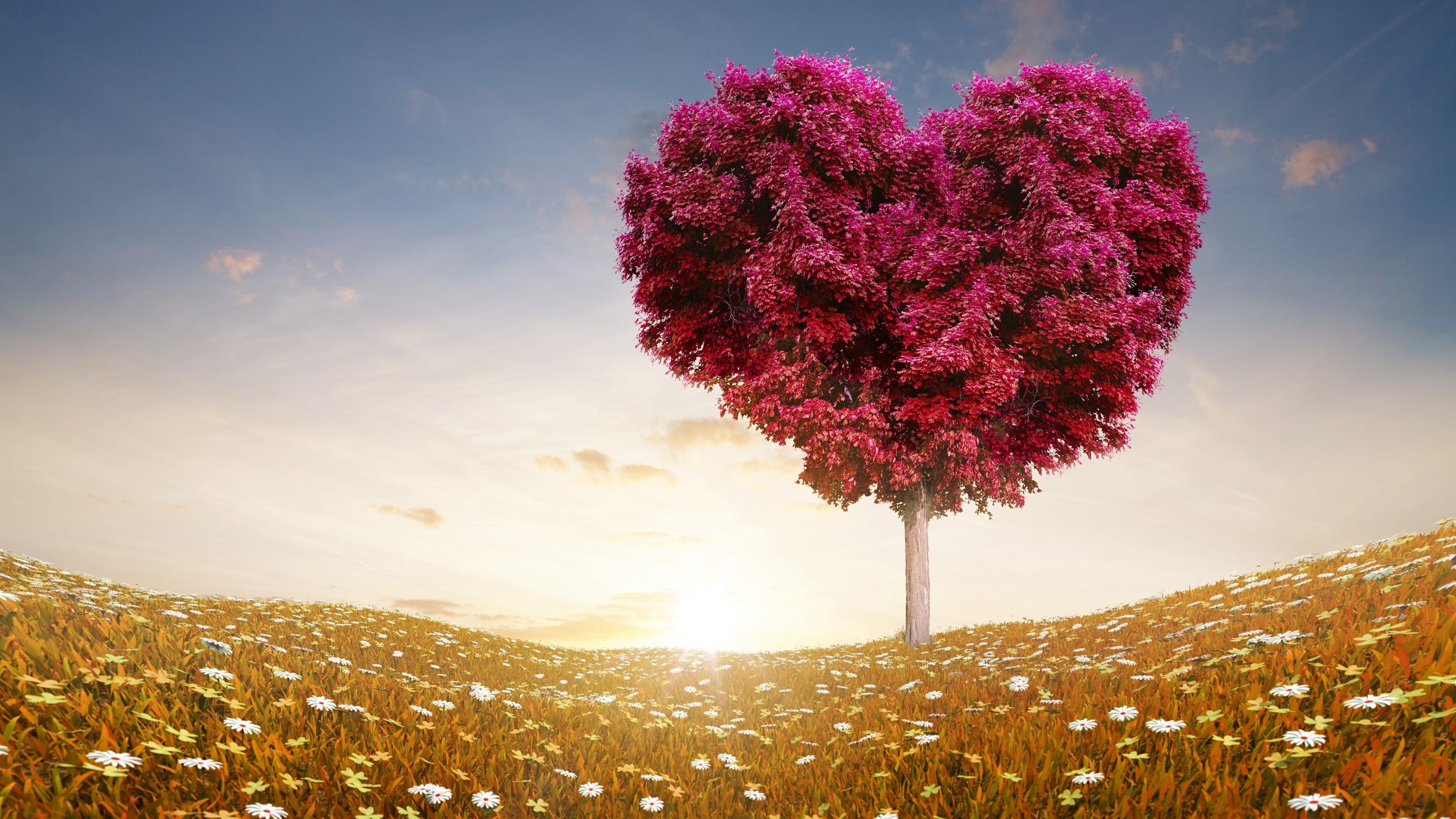 heart, 4K, love, tree, valentines day, HD Wallpaper