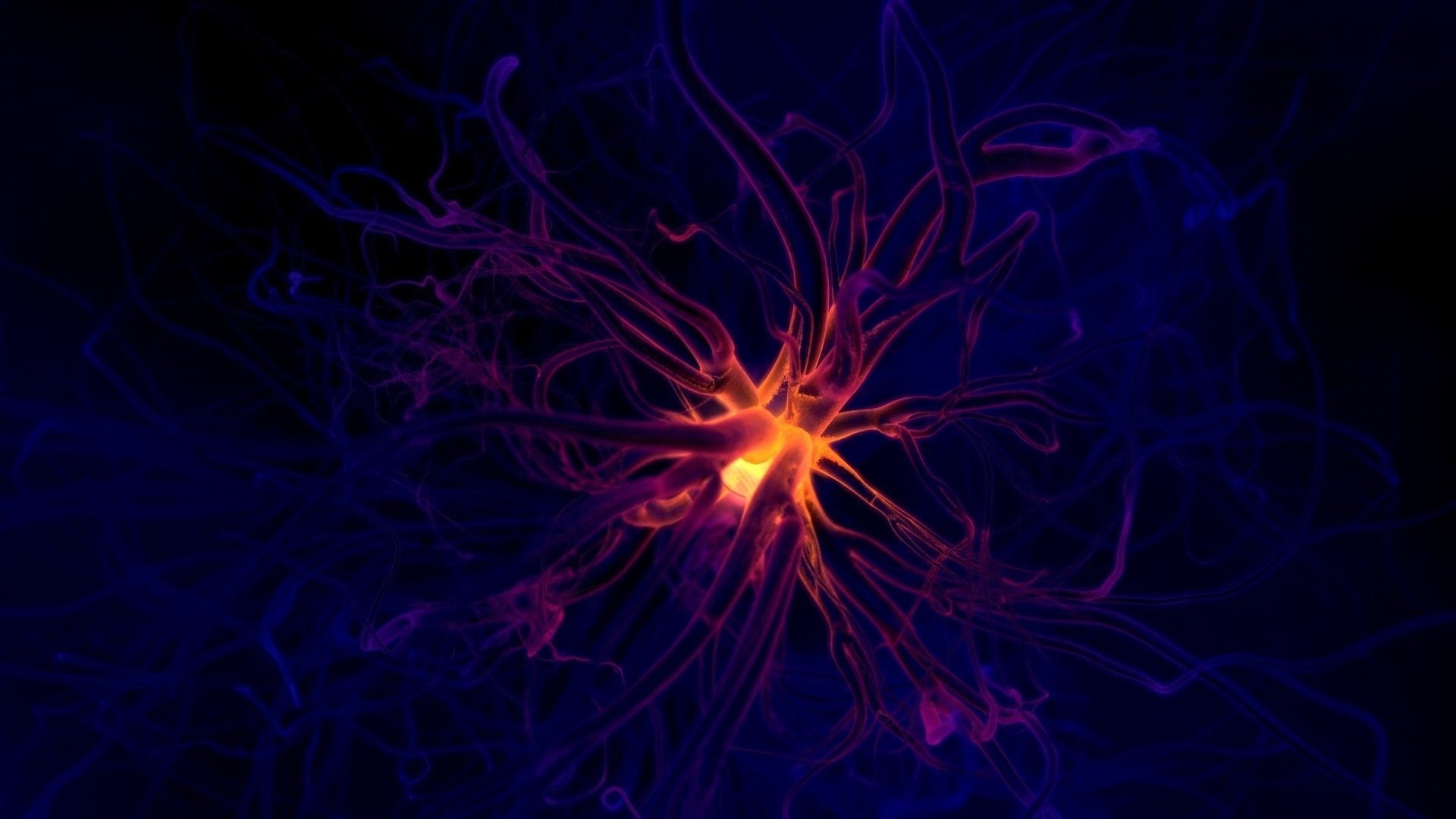 Artistic, 1080P, Neuron, HD Wallpaper