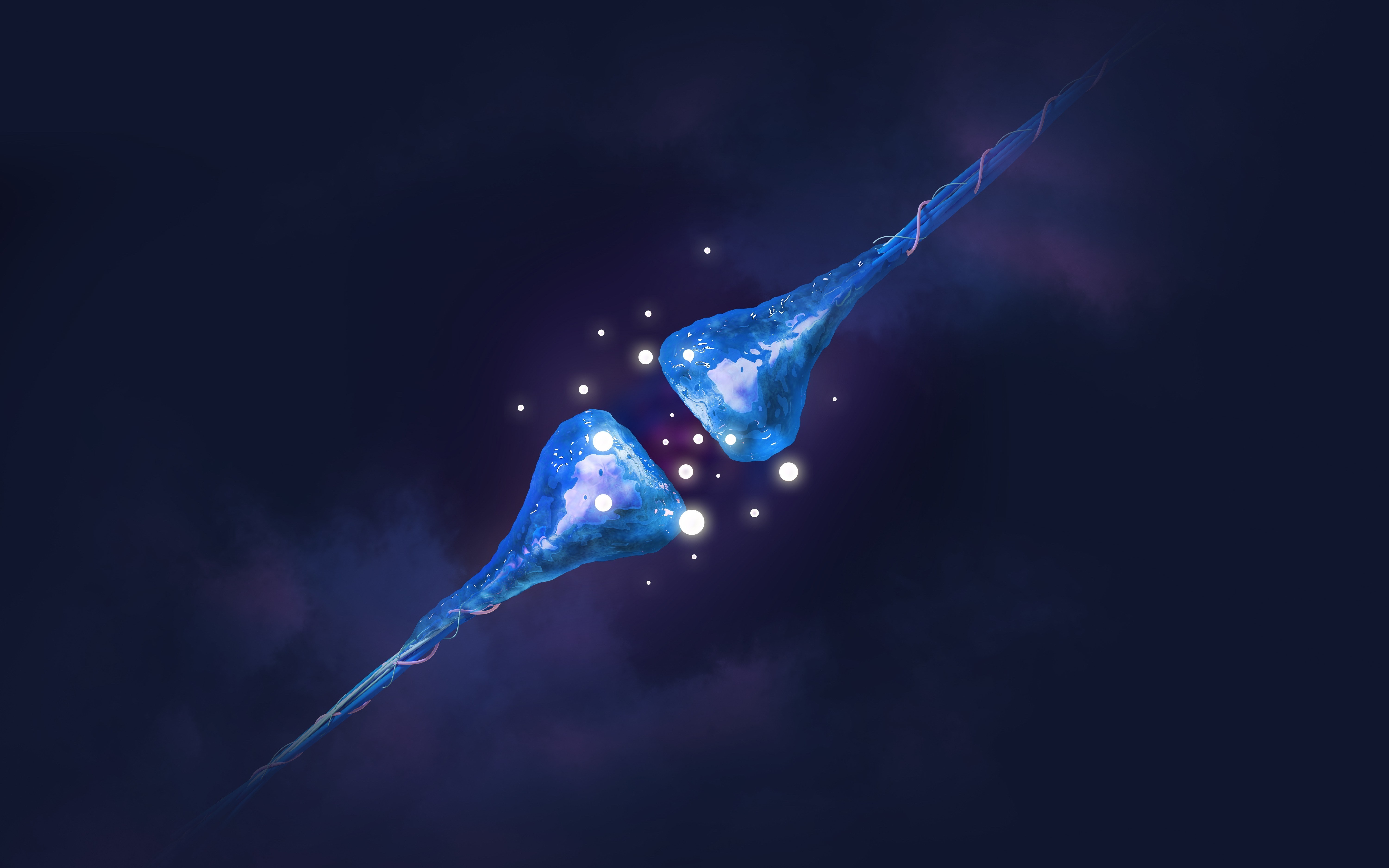 5K, neuron, HD Wallpaper