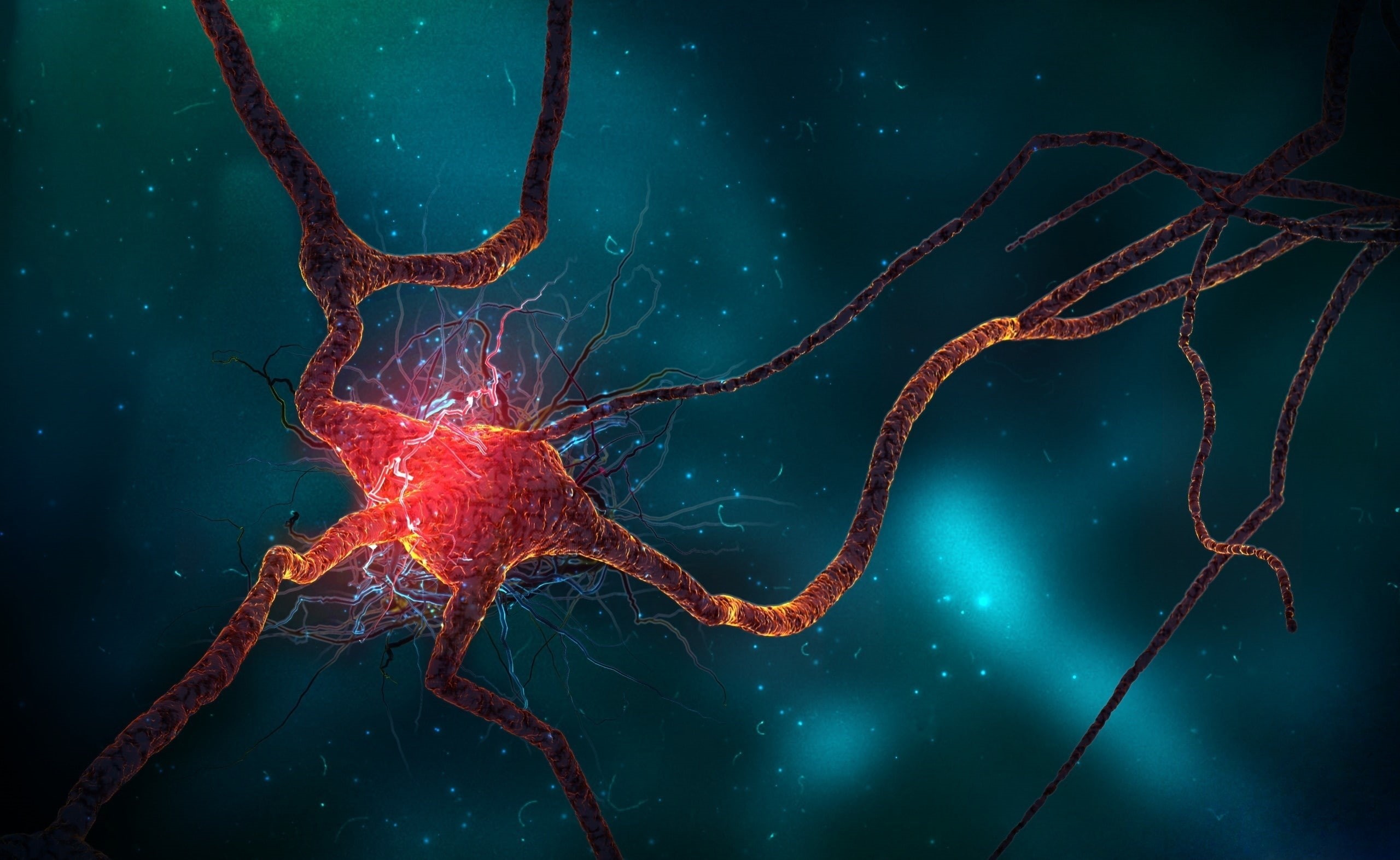 invertebrate, turquoise colored, close-up, water, beauty in nature, black, one animal, animal wildlife, animal themes, nerve, night, Neuron, nature, 3D, HD Wallpaper