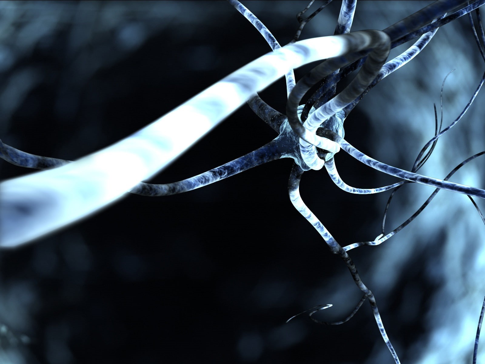 artwork, neurons, 720P, render, monochrome, HD Wallpaper