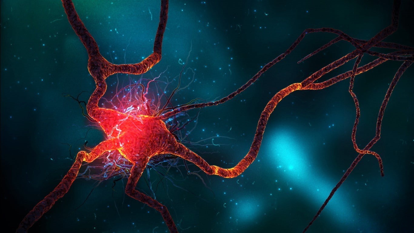 720P, macro, neurons, HD Wallpaper