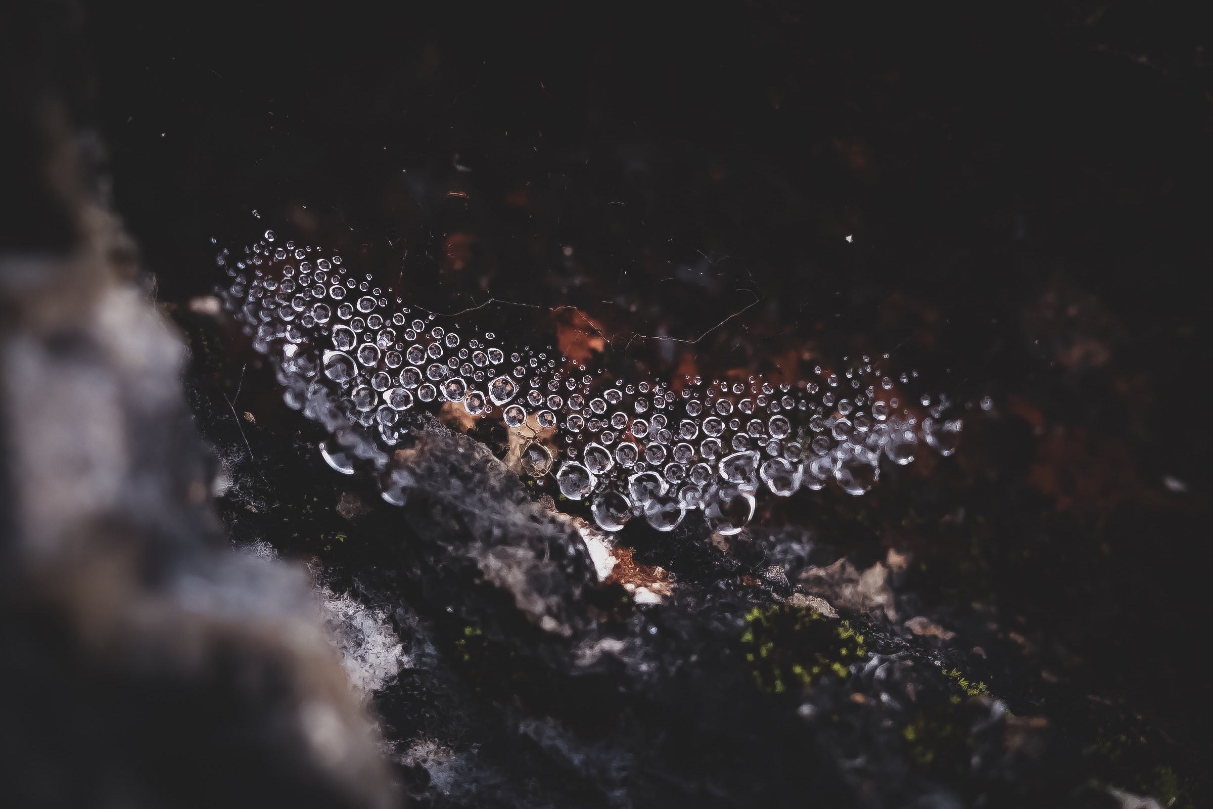 spiderwebs, bokeh, dew, 1080P, water drops, water, nature, rocks, HD Wallpaper