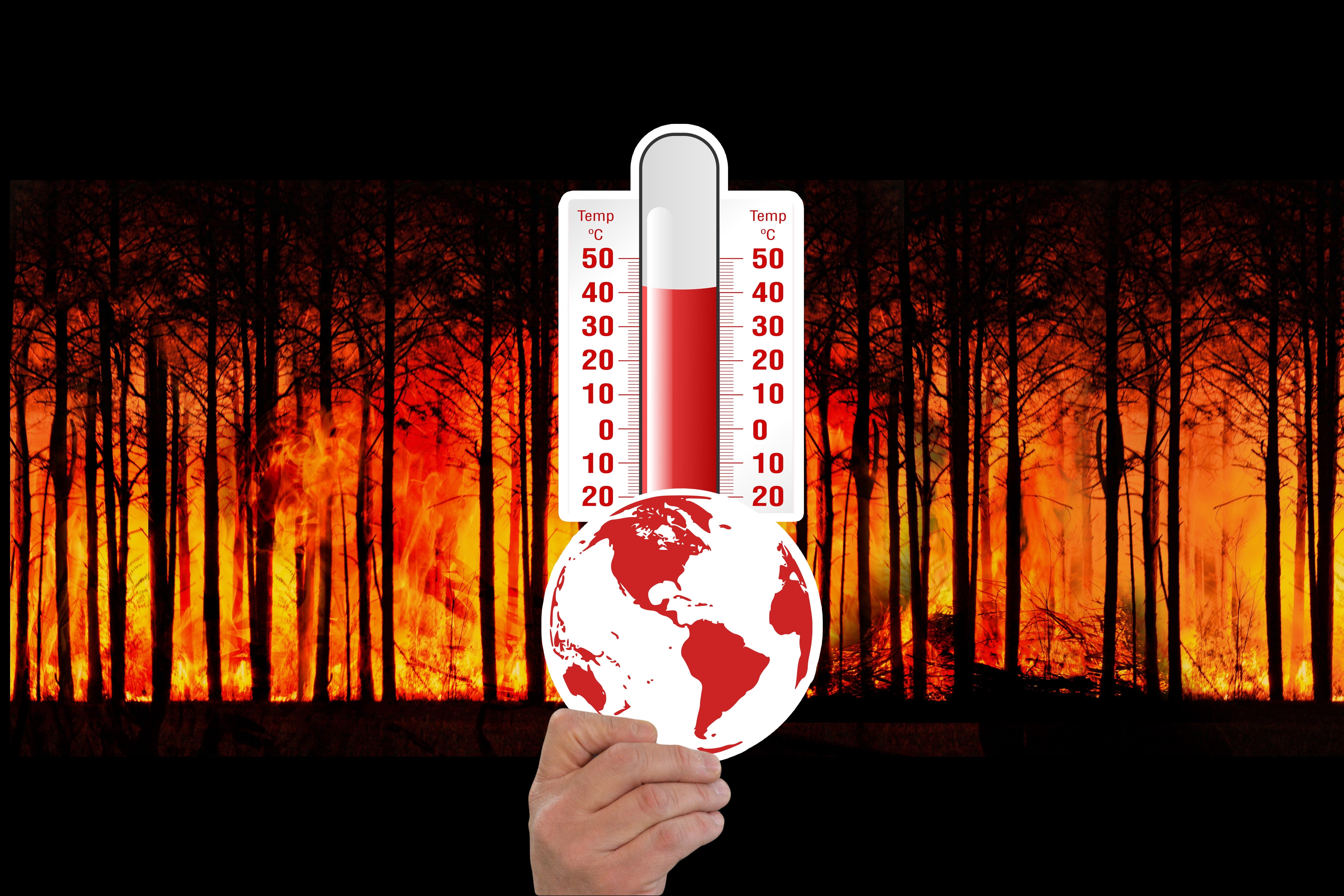 one person, earth, focus on foreground, warming, heat, nature, forest fire, globe, hot, personal perspective, leisure activity, holding, human body part, HD Wallpaper