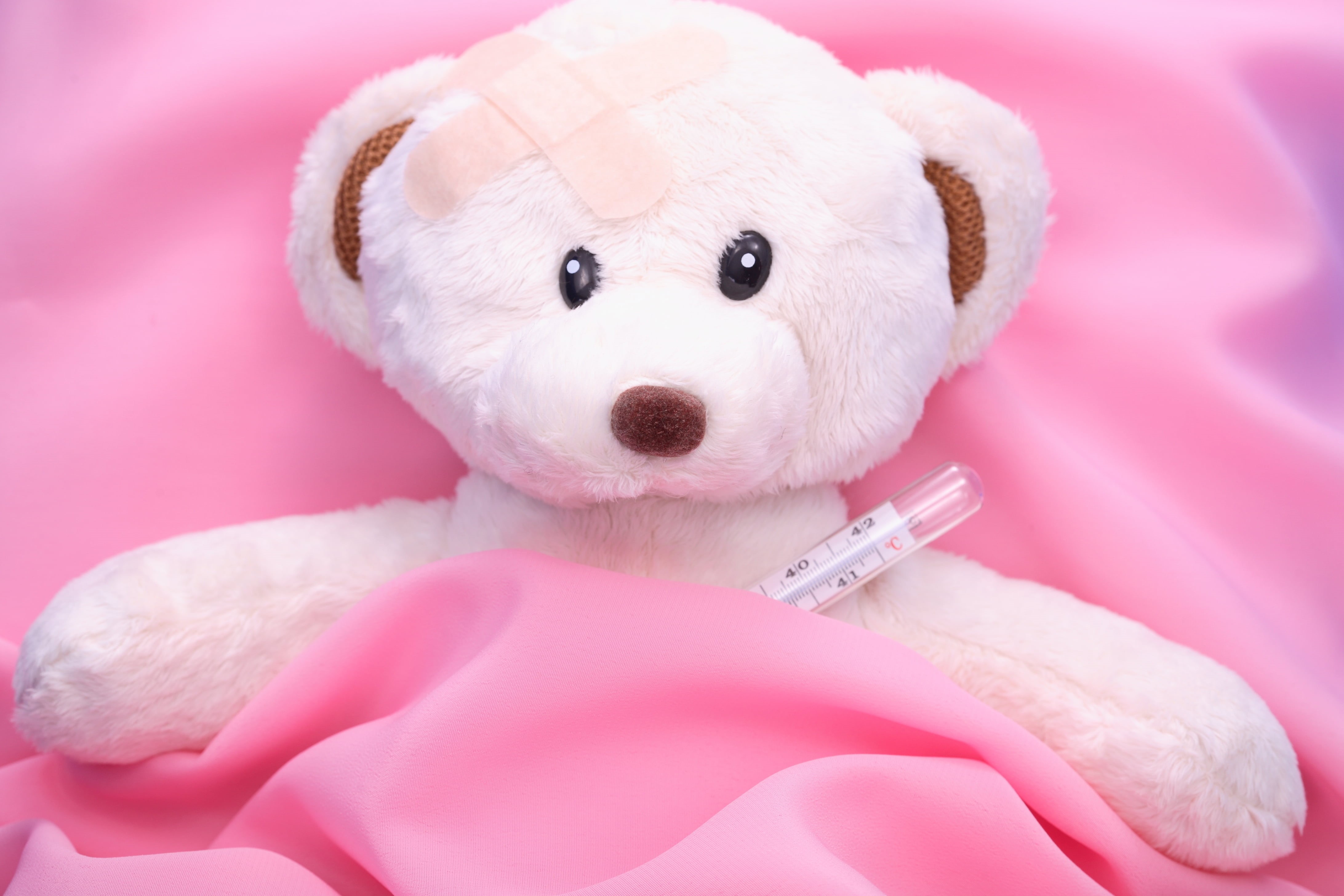 animal, care, one animal, single Object, plush, childhood, healthcare and medicine, teddy Bear, toy, love, studio Shot, stuffed Toy, no People, fluffy, HD Wallpaper