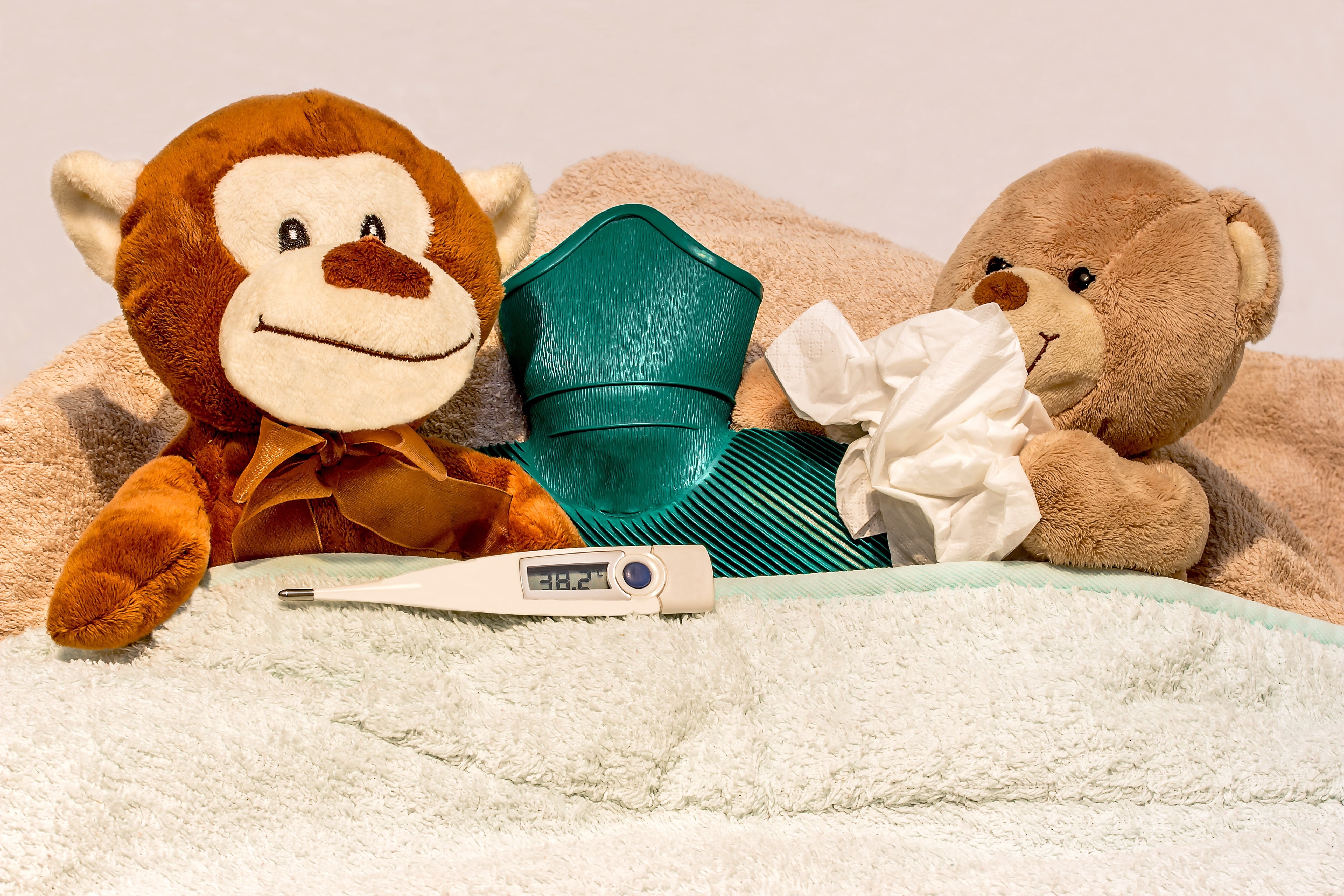 softness, in the bed are, duvet, bed rest, bless you, keep warm, toy, teddy bears, sick together, verschnupft, increased temperature, to keep warm, bear, HD Wallpaper