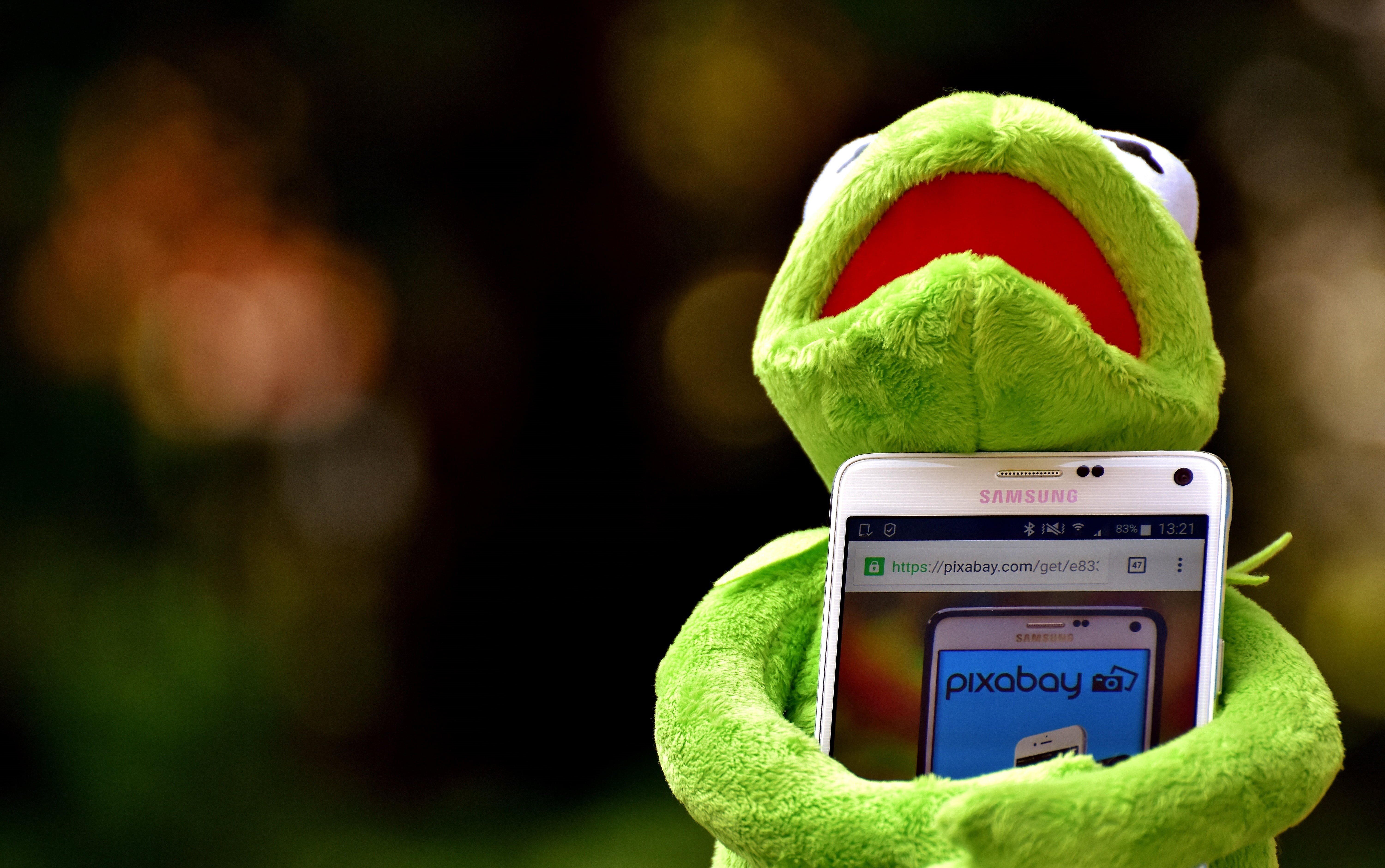 focus, technology, no people, soft toy, number, focus on foreground, instrument of measurement, figure, pulse trace, close-up, measuring, frog, image database, HD Wallpaper