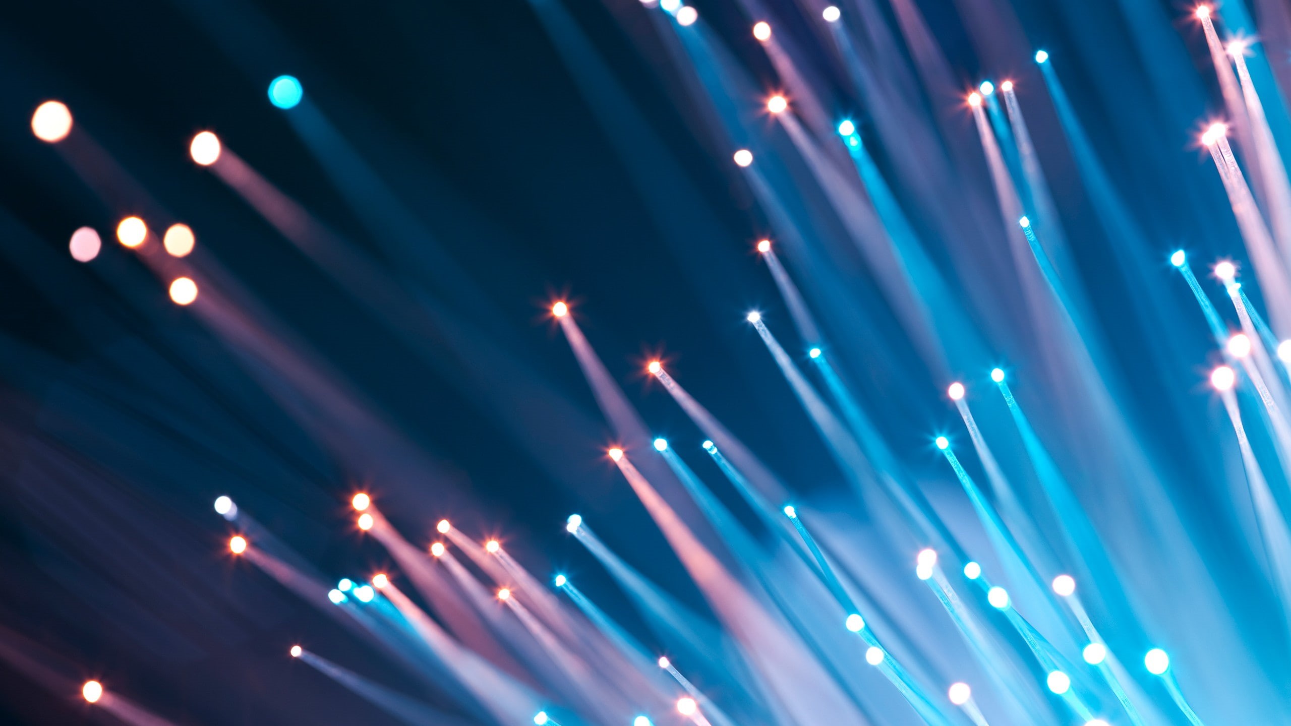 2K, Optic fiber, HD Wallpaper
