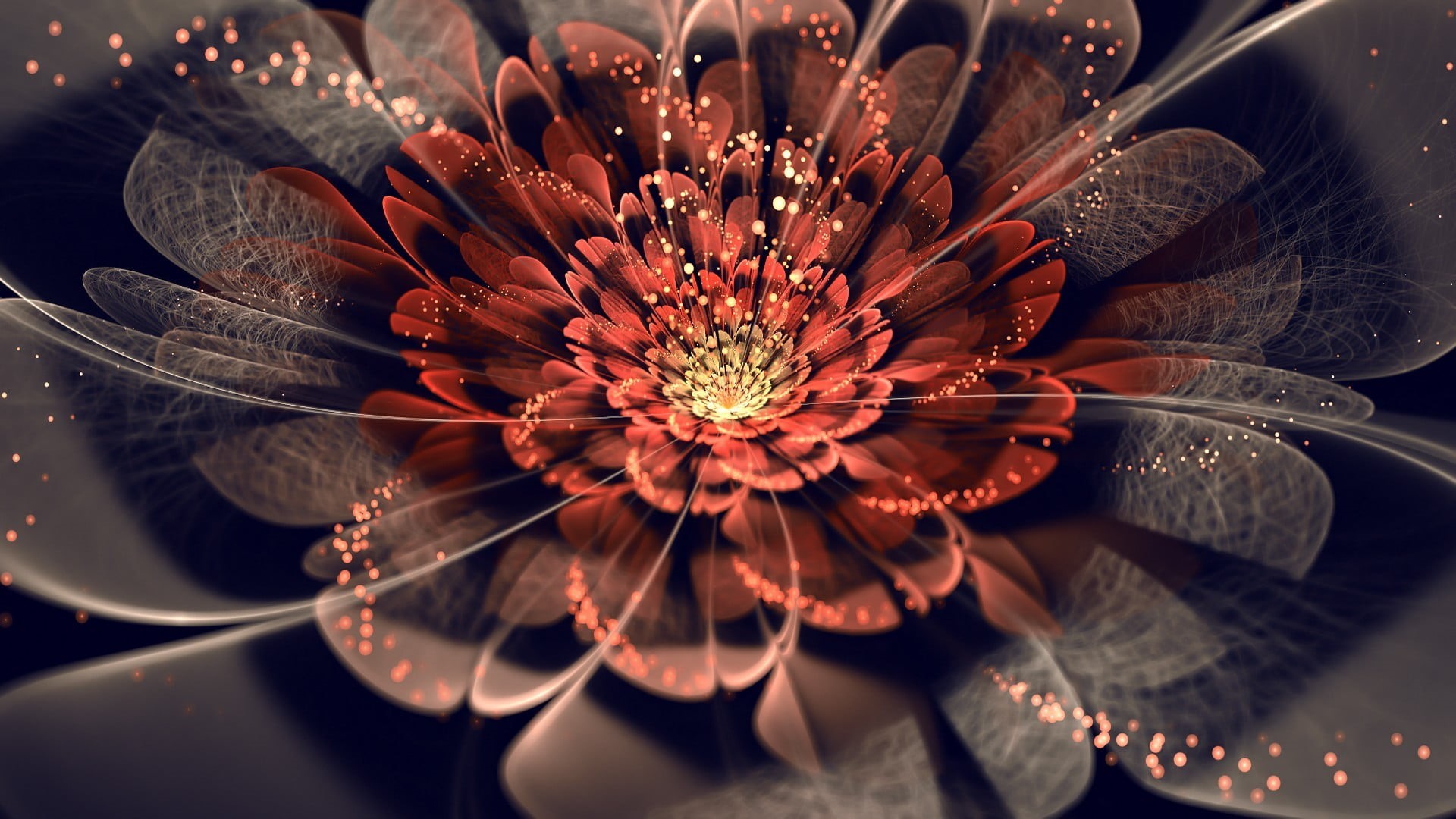 1080P, digital composite, high angle view, fractal, beauty in nature, flower head, indoors, flowering plant, plant, fragility, abstract, selective focus, HD Wallpaper