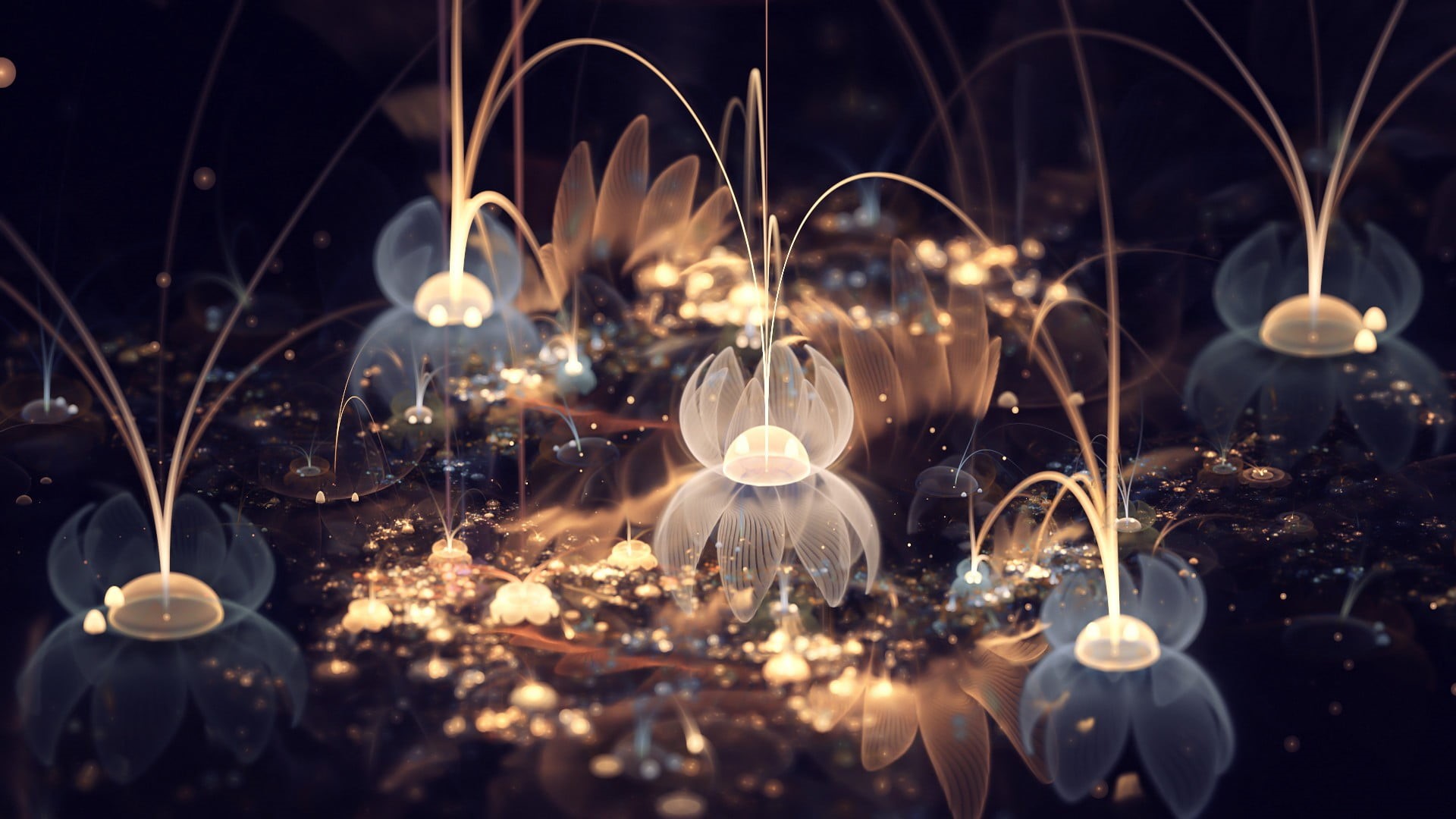 indoors, photo, christmas, celebration, abstract, no people, burning, glowing, white, illuminated, night, brown, light, fire, decoration, nature, selective focus, HD Wallpaper