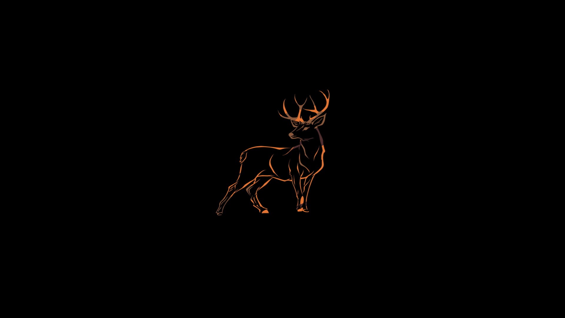 animal, one animal, long exposure, mammal, night, animal wildlife, animal themes, black background, light painting, copy space, pattern, indoors, glowing, HD Wallpaper