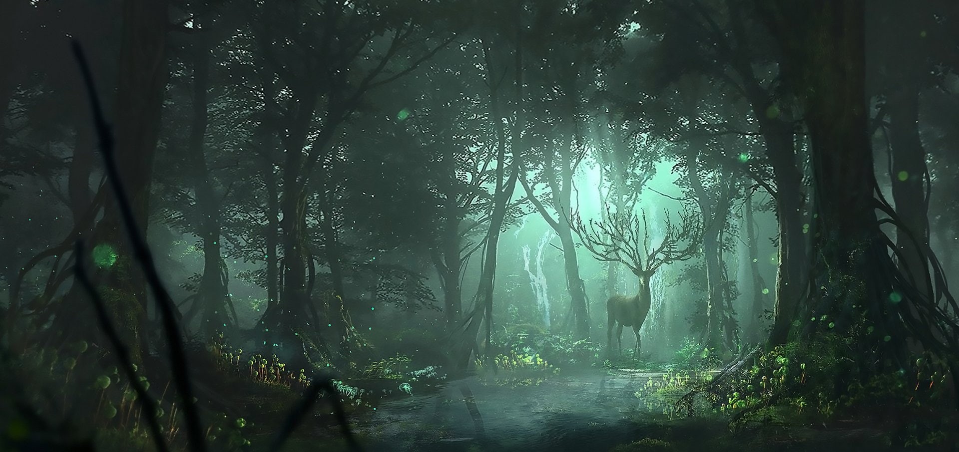 land, tranquil scene, nature, rainforest, no people, beauty in nature, growth, day, outdoors, green color, tranquility, fog, tree, 1080P, idyllic, tree trunk, HD Wallpaper