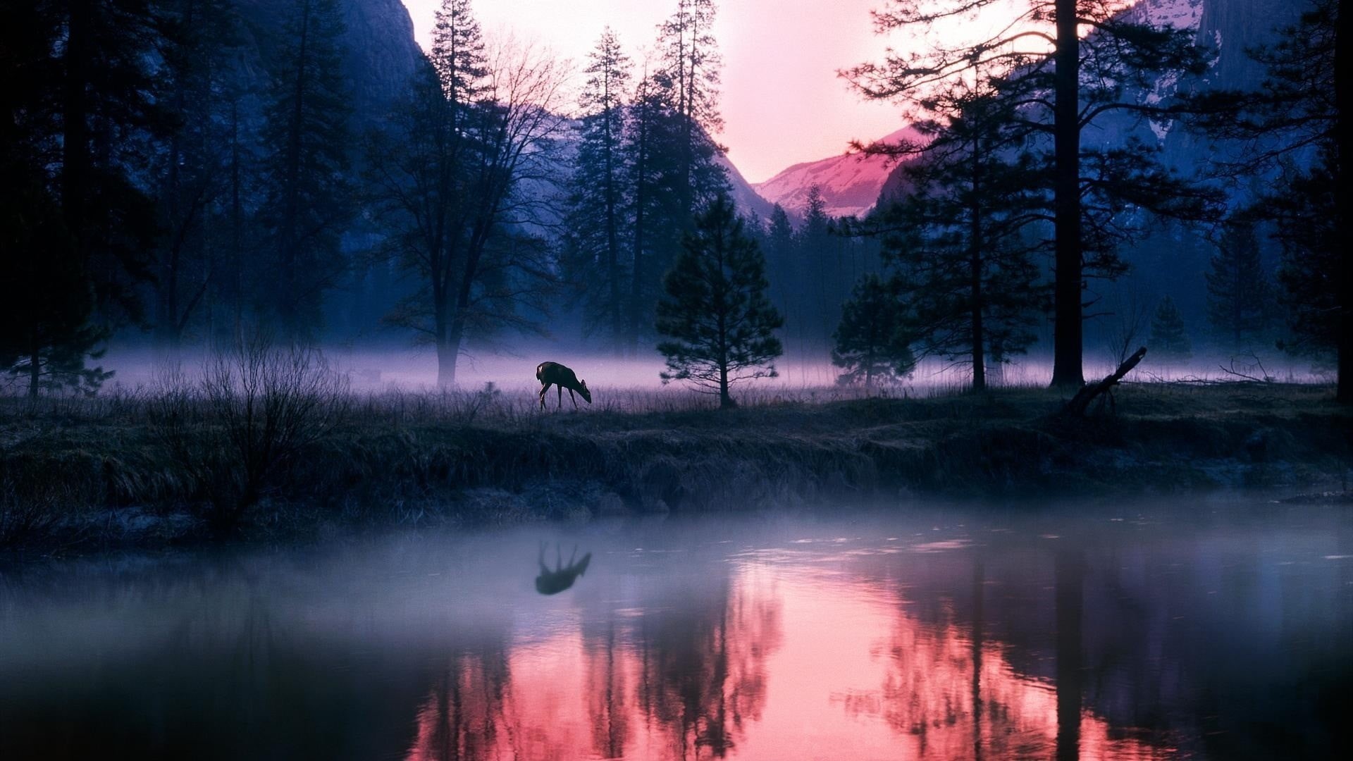non-urban scene, beauty in nature, landscape, nature, idyllic, silhouette, animals, mist, trees, water, men, tranquil scene, land, lake, animal, HD Wallpaper