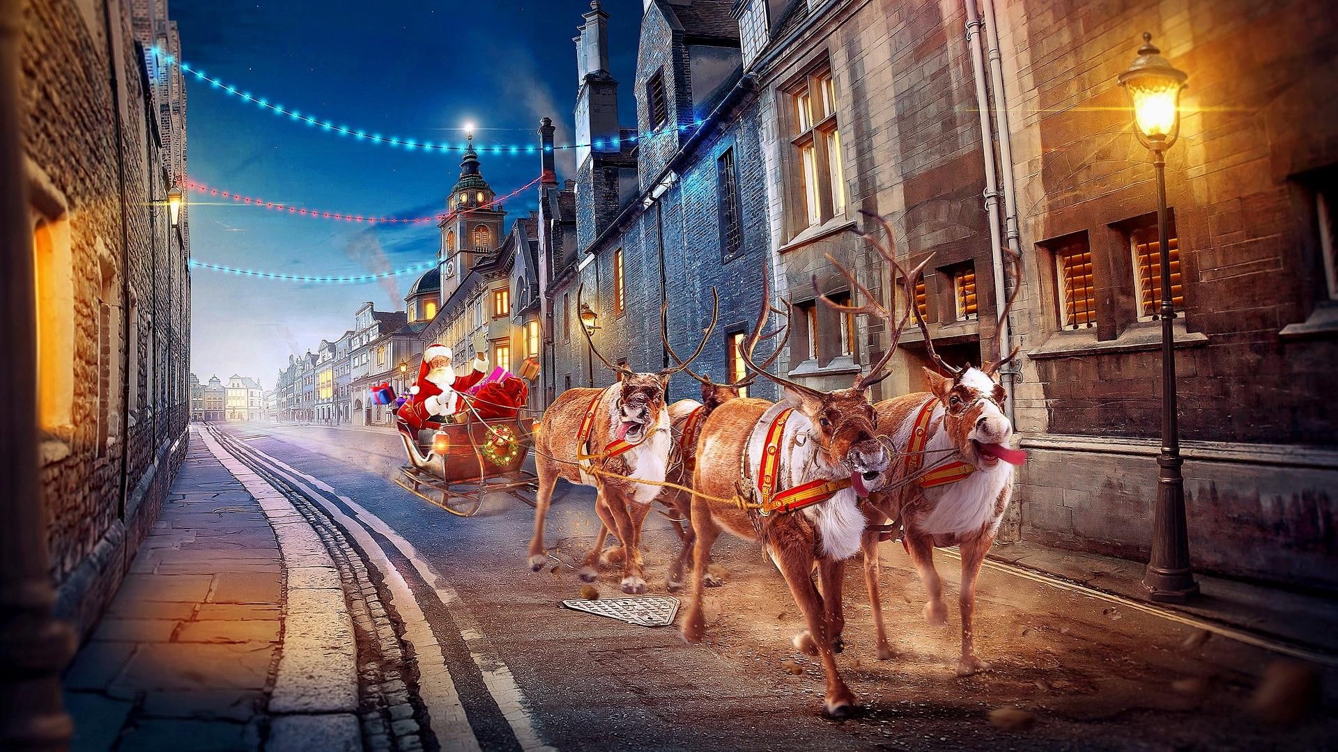 reindeer, sleigh, christmas day, street, 1080P, chariot, reindeer chariot, santa claus, street light, christmas, HD Wallpaper