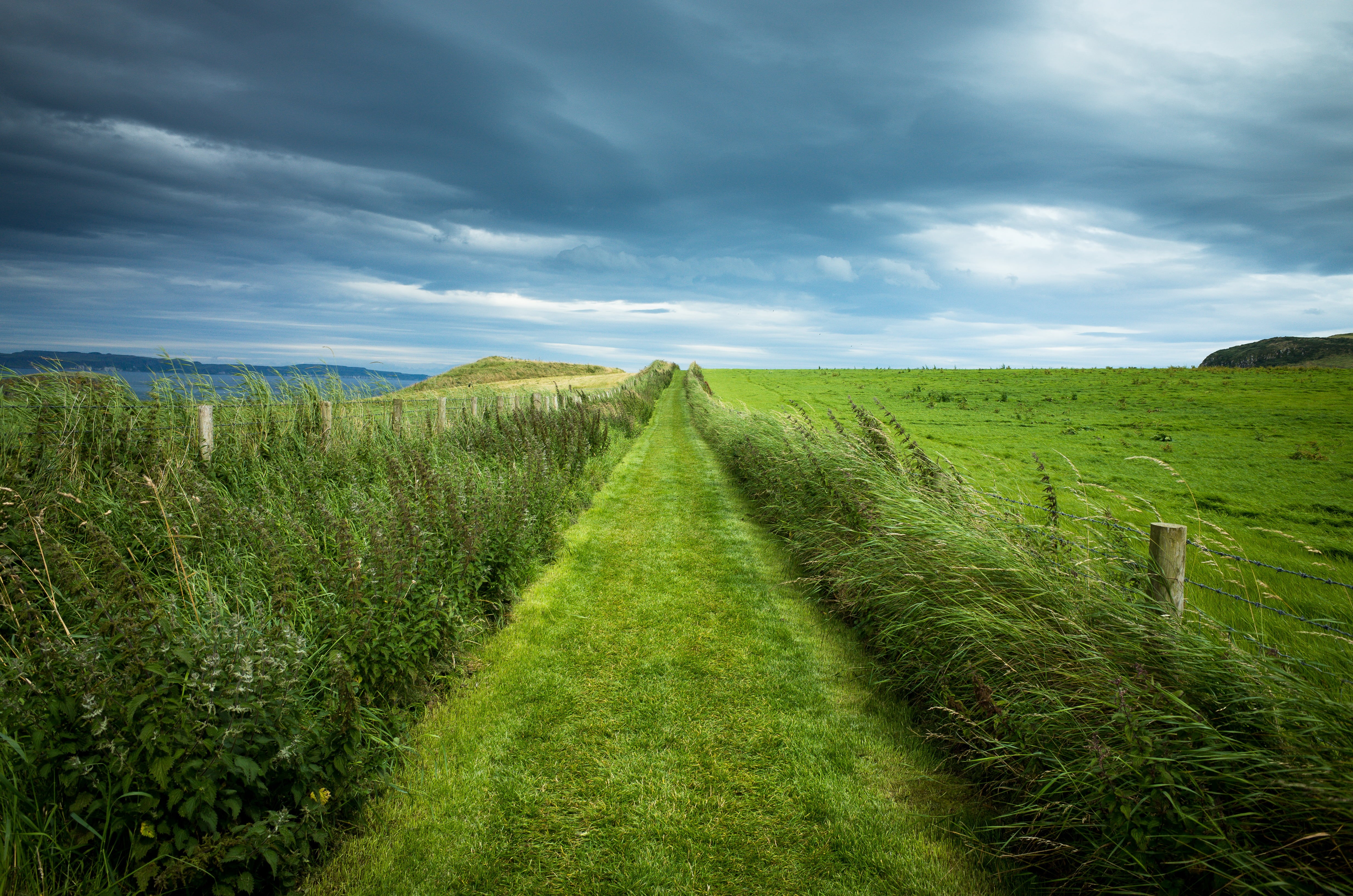 Ireland, grass, Europa, field, farm, digital, Sommer, land, Urlaub, landscape, Stein  stone, outdoors, Europe, summer, autofocus, UK, cloudscape, scenics, HD Wallpaper