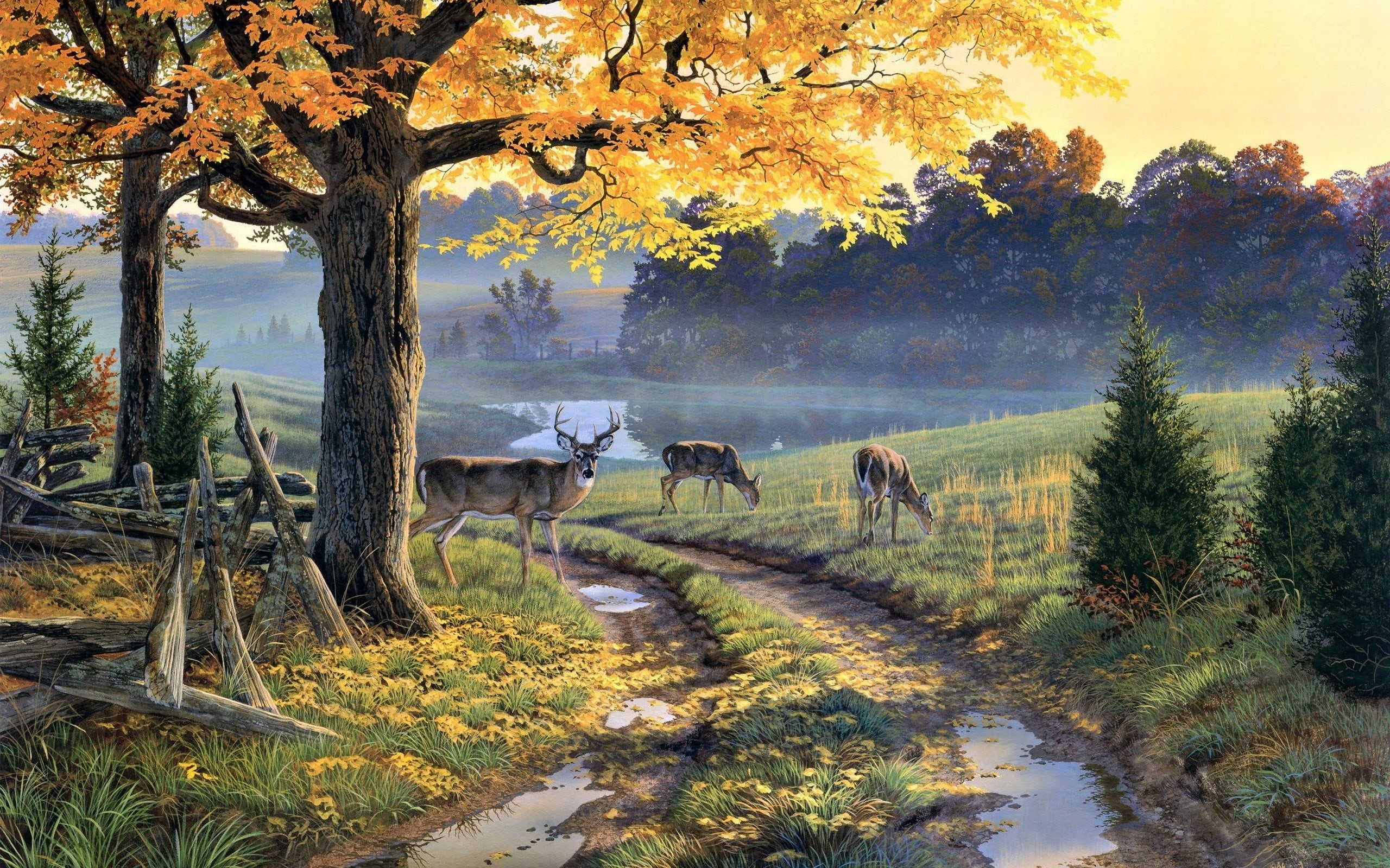 outdoors, tranquility, no people, vertebrate, herbivorous, 2K, deer, brown, land, domestic, scenics - nature, beauty in nature, autumn, painting, pets, HD Wallpaper