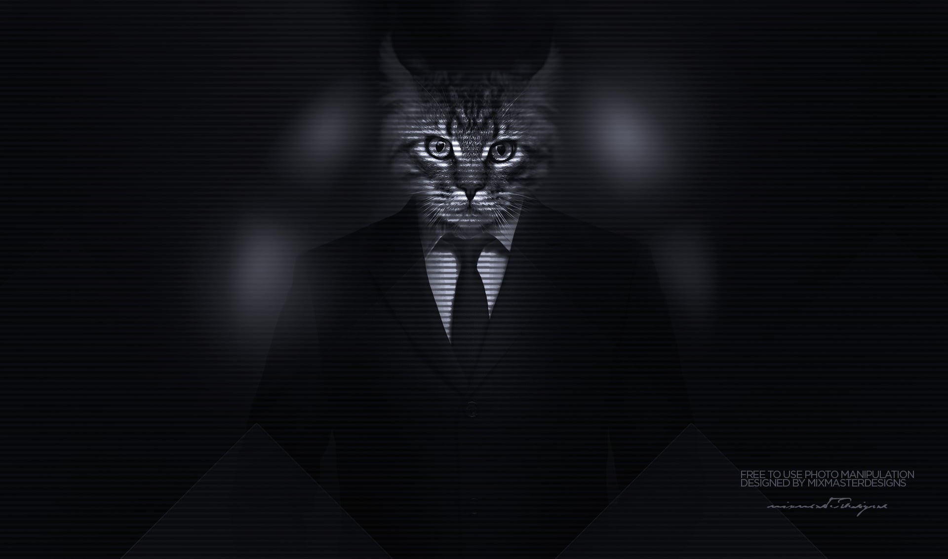 human body part, real people, lighting equipment, suits, fear, tabby, Kitty, pattern, 1080P, men, photo manipulation, stage, majestic casual (channel), HD Wallpaper