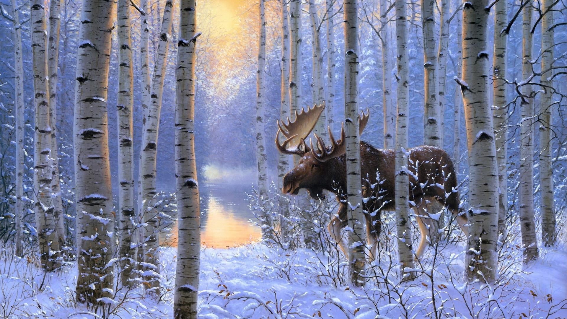 animal themes, tree, reflection, 1080P, lake, plant, nature, moose, beauty in nature, outdoors, art, frost, winter, day, painting art, forest, animal wildlife, HD Wallpaper