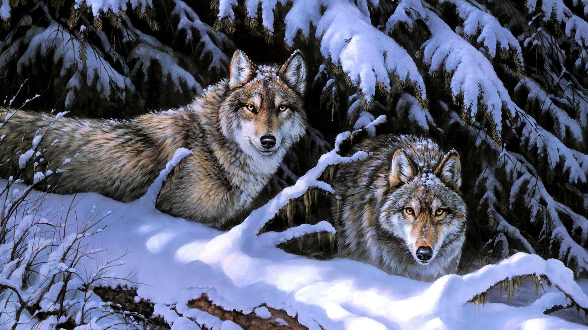 land, wildlife, cold temperature, animal themes, tree, fir forest, woodland, day, 1080P, vertebrate, artwork, animal wildlife, nature, painting, forest, HD Wallpaper
