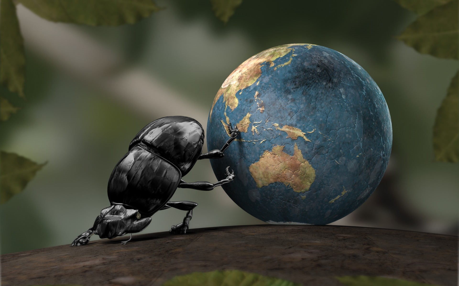 zoology, vertebrate, animal, nature, 1080P, selective focus, perching, day, wood - material, one animal, black, close-up, outdoors, beetles, no people, HD Wallpaper