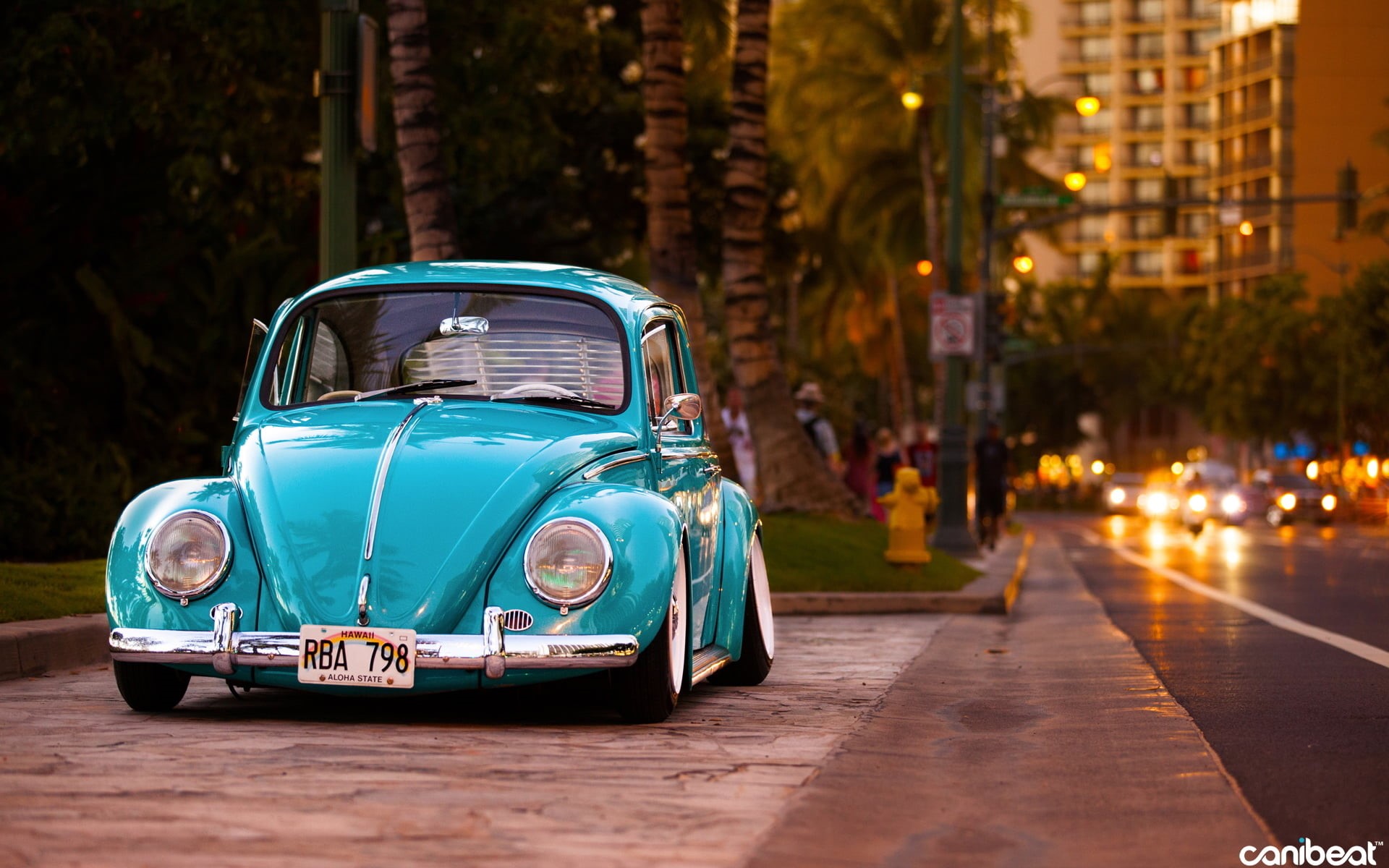 tree, cuba, style, old, architecture, motor vehicle, collectors Car, city, antique, headlight, illuminated, uSA, stationary, night, old-fashioned, beetle, HD Wallpaper
