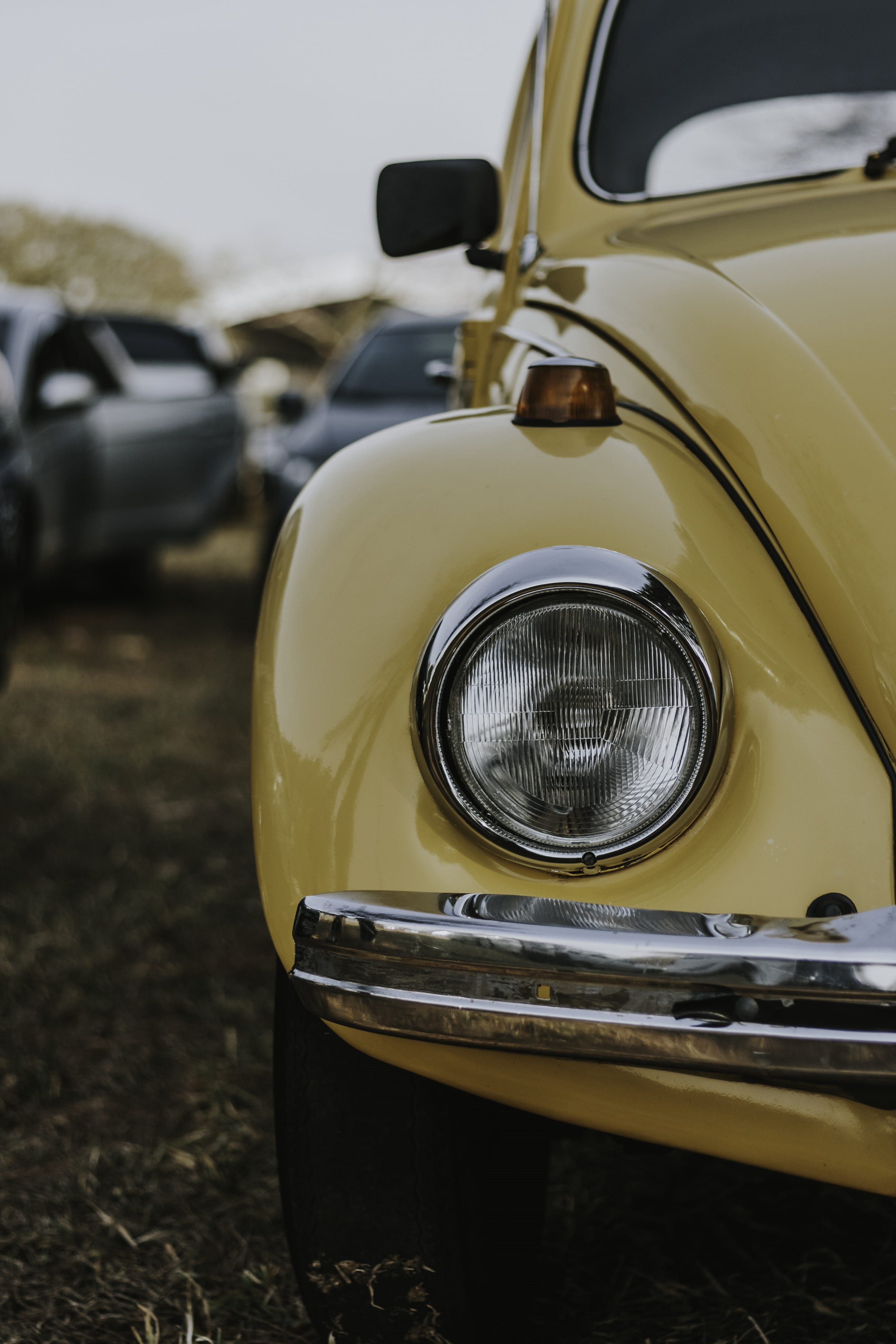 beetle volkswagen, outdoors, motor vehicle, day, stationary, vw, retro styled, land vehicle, no people, yellow, front view, photo, car, focus on foreground, Phone HD Wallpaper