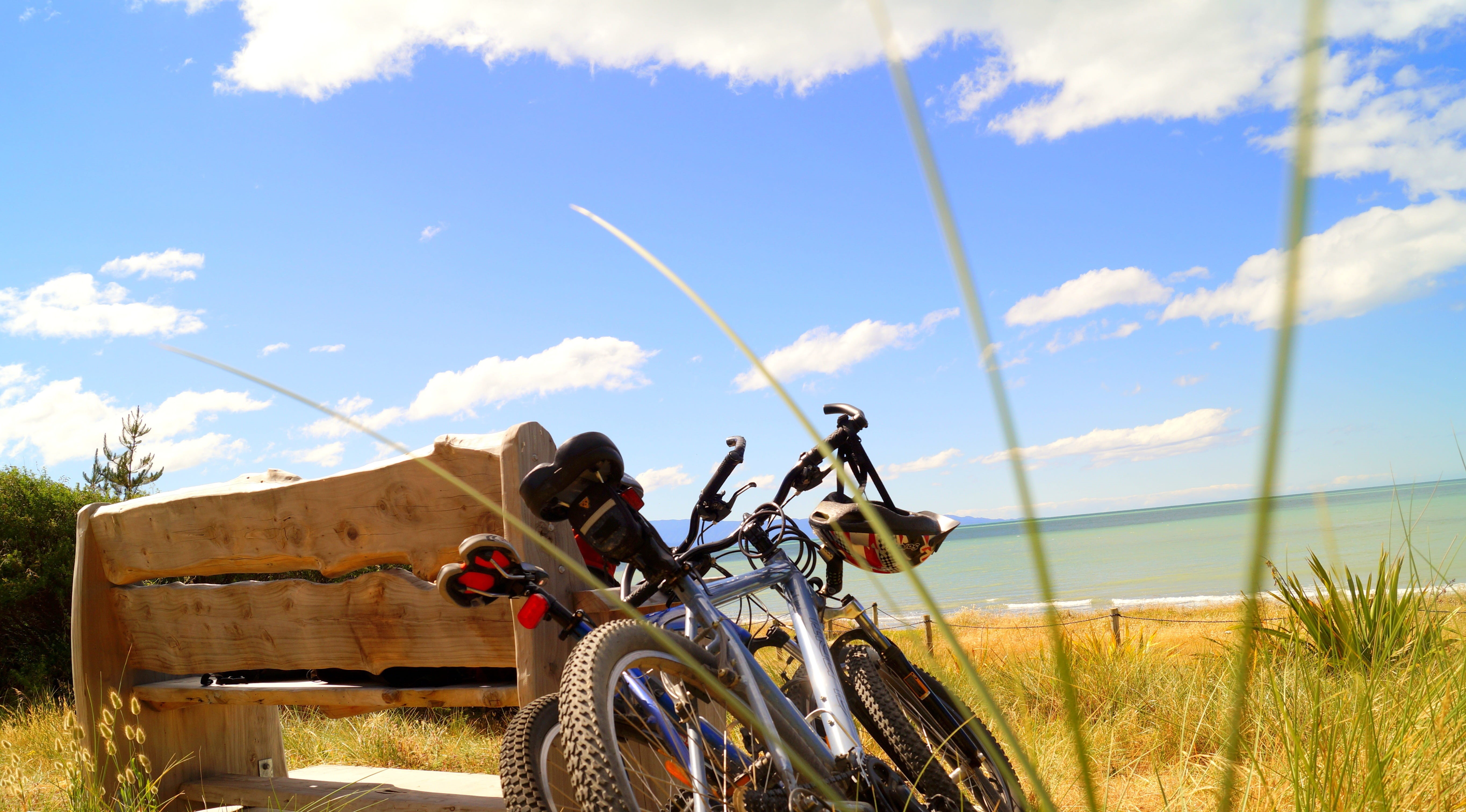 leisure Activity, sport, calm, white, summer, wooden, sunlight, tail, front, helmet, two, hard, holiday, sports And Fitness, one person, color Image, bicycle, HD Wallpaper