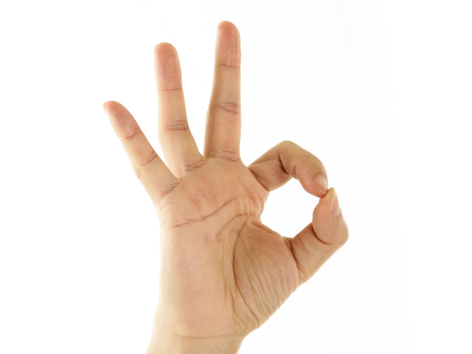 studio shot, human body part, gesturing, concepts, caucasian Ethnicity, white Background, symbol, sign, communication, success, gesture, human Hand, hand sign, HD Wallpaper