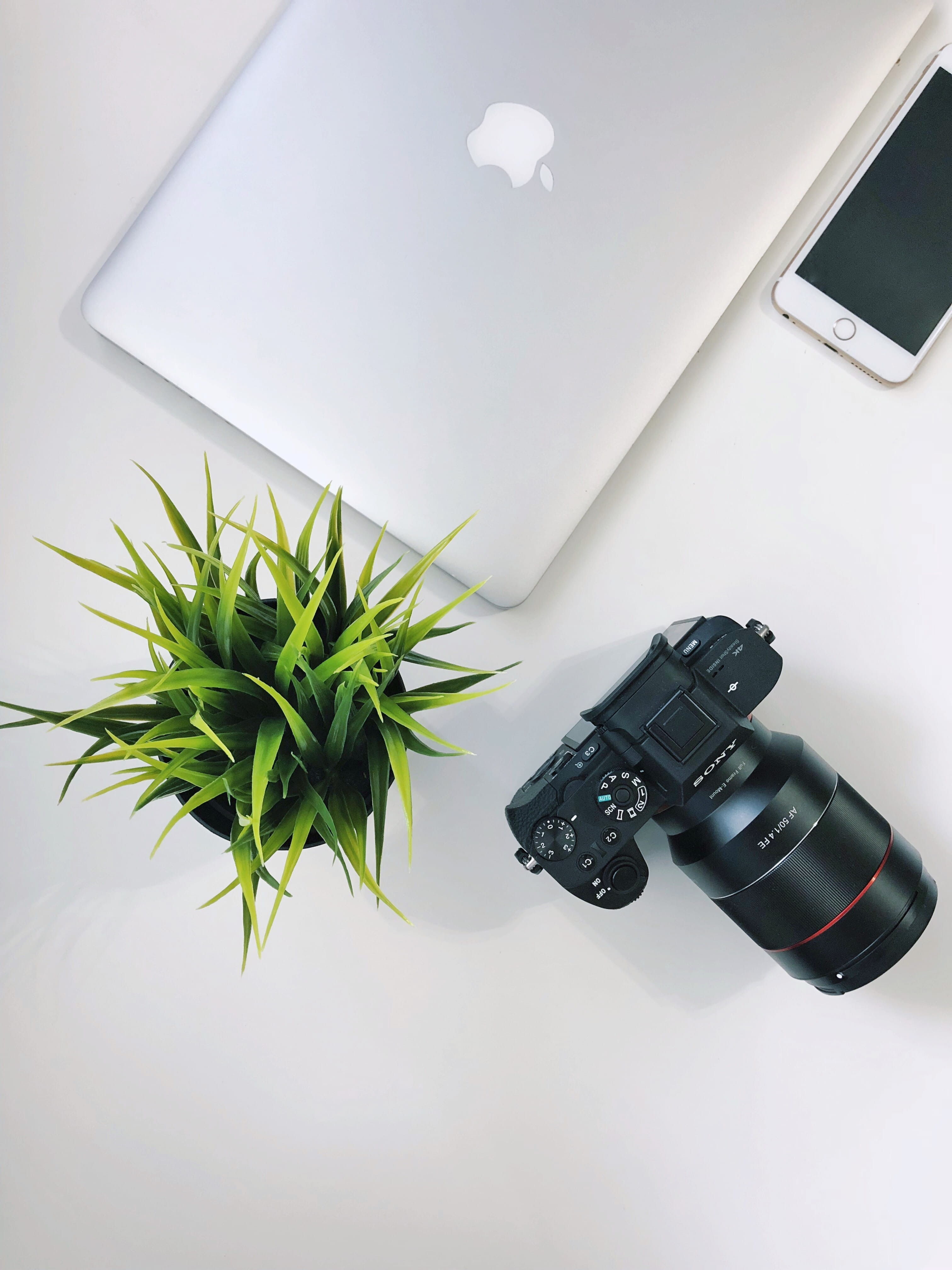workspace, desk, flatlay, desktop setup, silver, table, plant, plant part, digital single-lens reflex camera, desktop, technology, iphone, united states, Phone HD Wallpaper