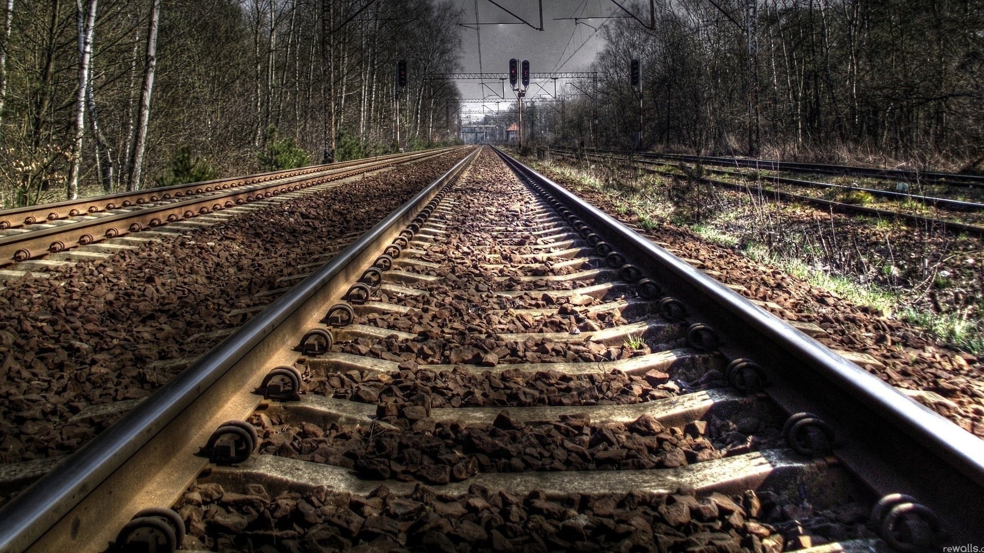 diminishing perspective, plant, rail transportation, frame, mode of transportation, 1080P, long, day, railway, metal, forest, direction, solid, tree, public transportation, HD Wallpaper