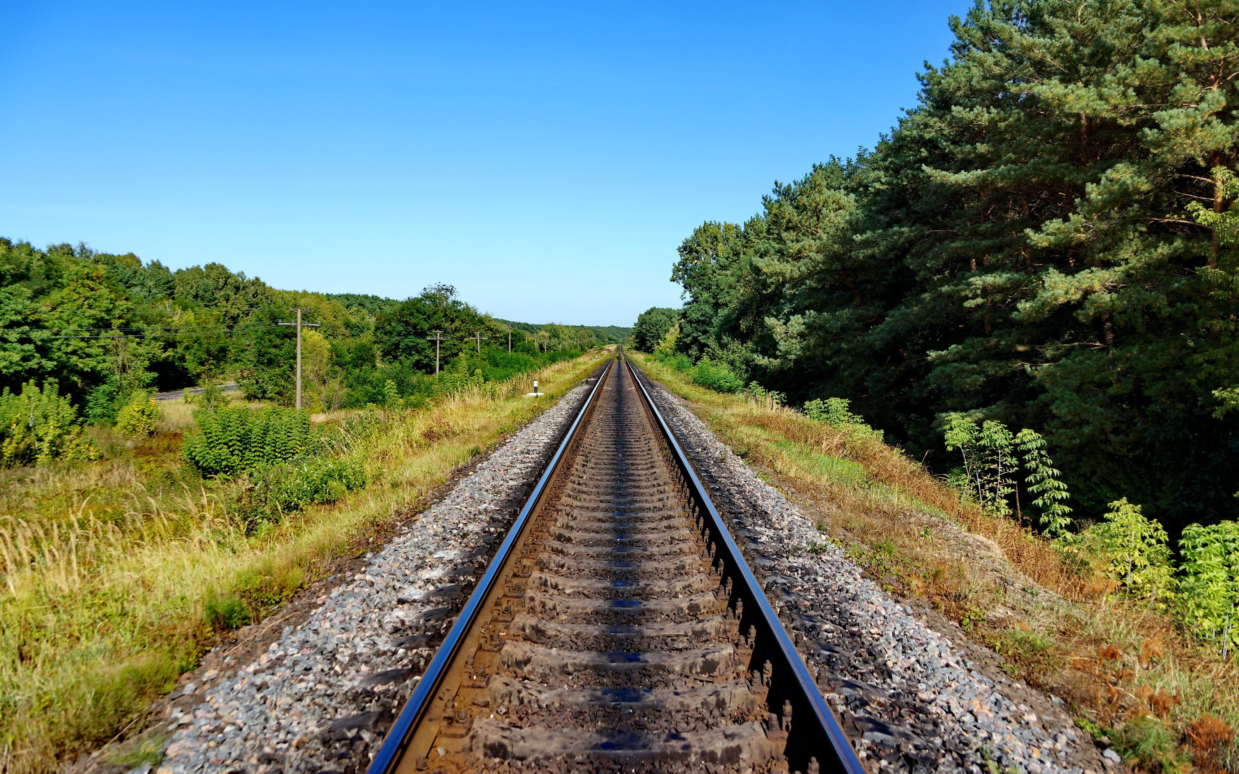 train, 4K, long, no people, plant, blue, sky, nature, direction, growth, vanishing point, rail transportation, day, green color, black, track, parallel, HD Wallpaper