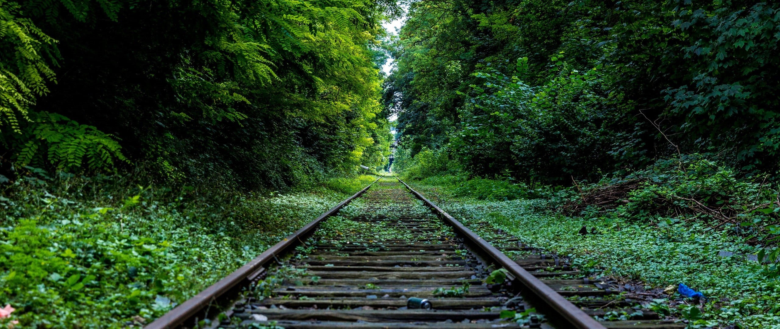 2K, tranquility, forest, outdoors, no people, railway, track, tree, rail transportation, plant, nature, the way forward, green color, gray, growth, non-urban scene, HD Wallpaper