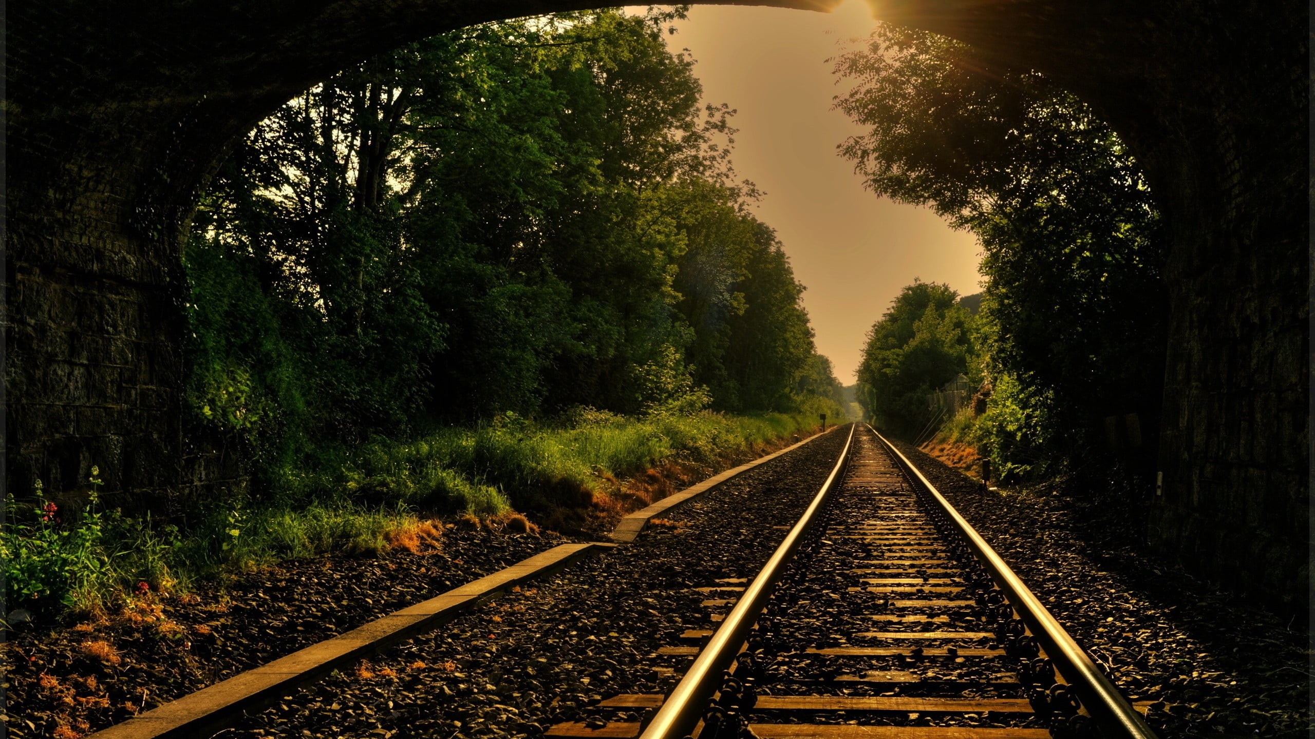 the way forward, tranquility, tree, trees, sky, transportation, plant, outdoors, gray, railroad, steel, day, growth, forest, long, diminishing perspective, HD Wallpaper