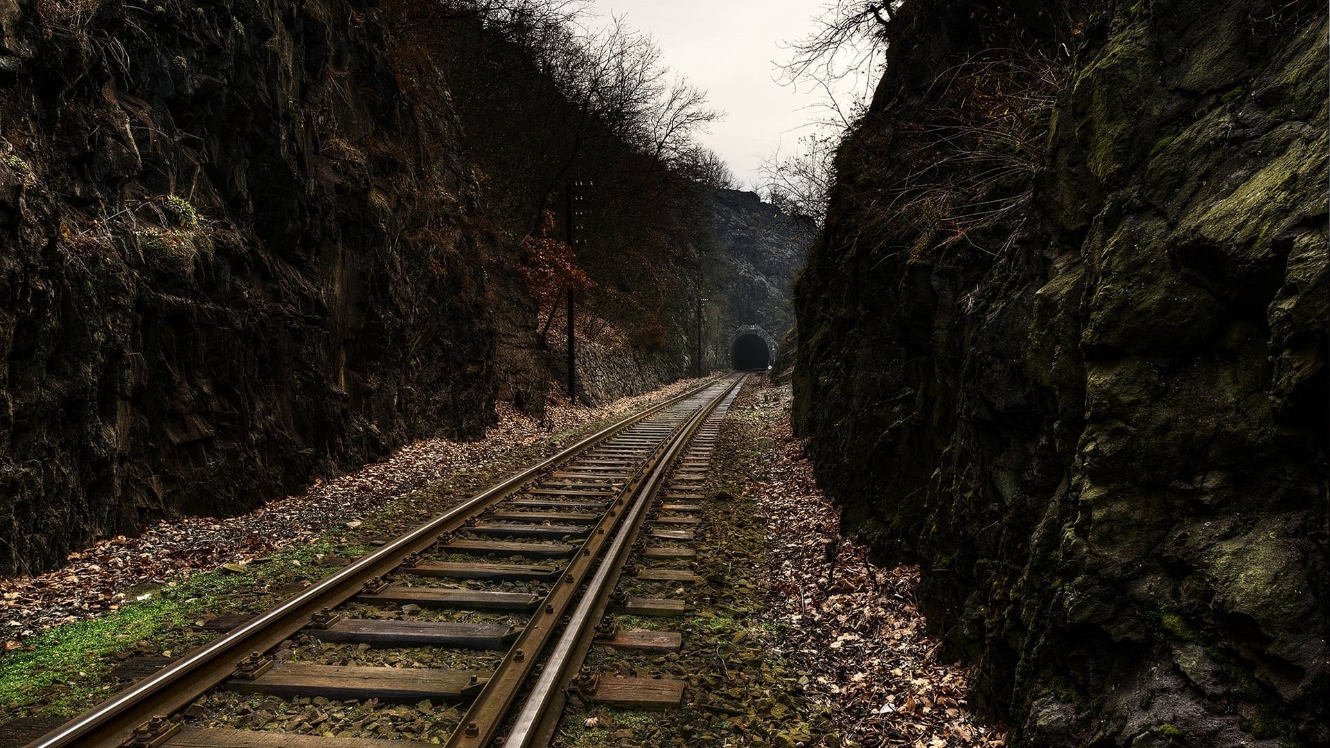 plant, 1080P, brown, growth, railway, beauty in nature, no people, day, track, vanishing point, fence, railroad track, wooden, parallel, diminishing perspective, HD Wallpaper