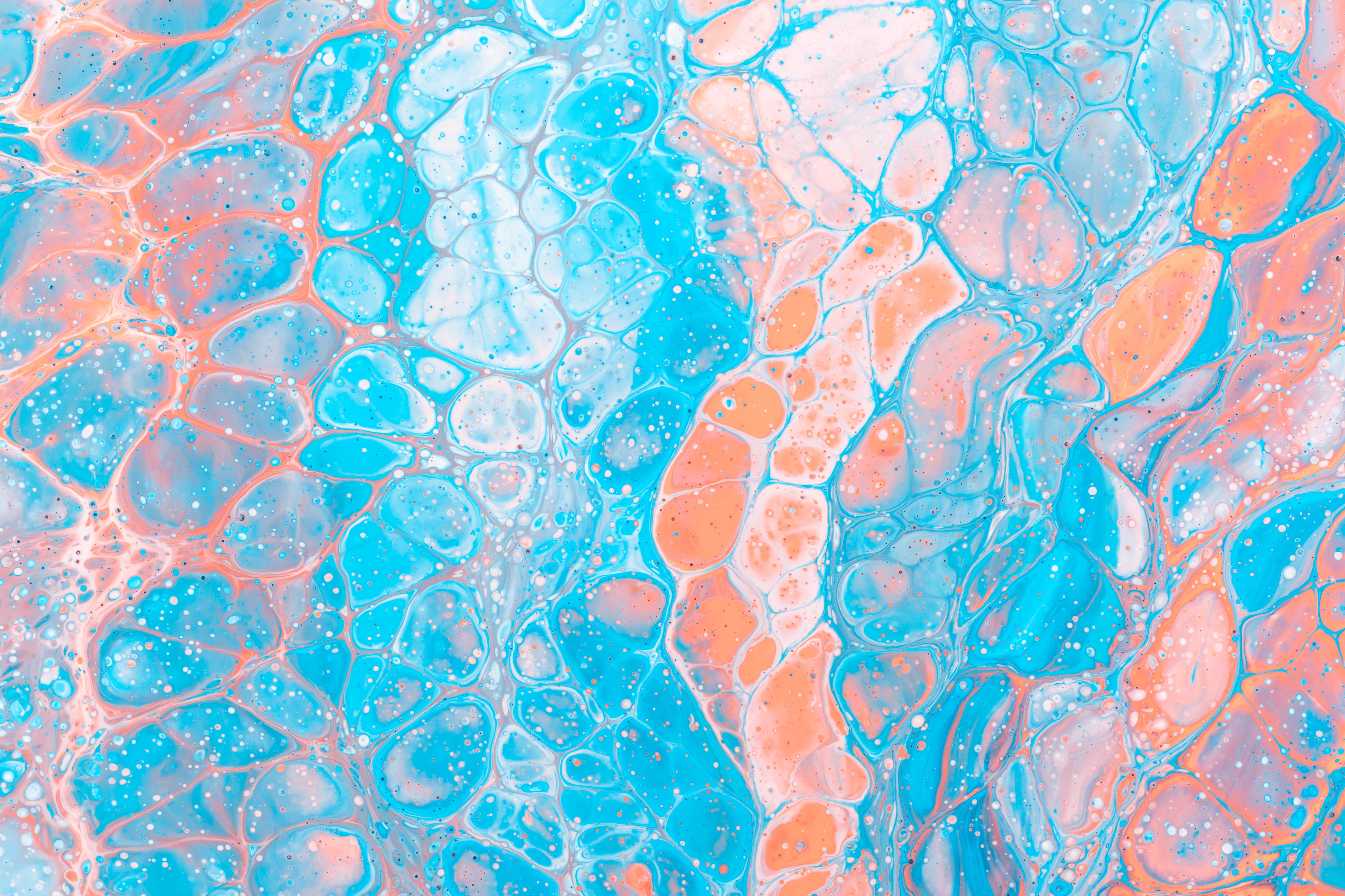 colorful, abstract, 5K, orange, paint splatter, blue, white, paint splash, HD Wallpaper
