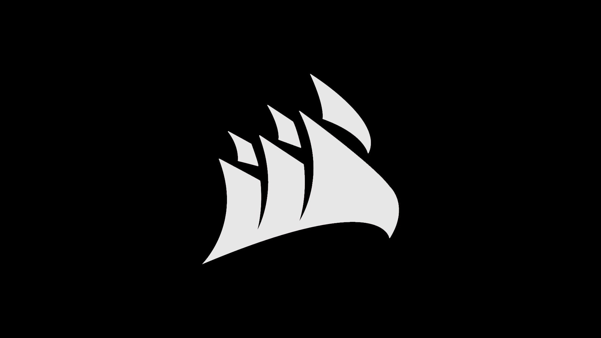 monochrome, beauty in nature, no people, leaves, plant part, indoors, black background, night, gray, Corsair, black color, studio shot, logo, art and craft, HD Wallpaper