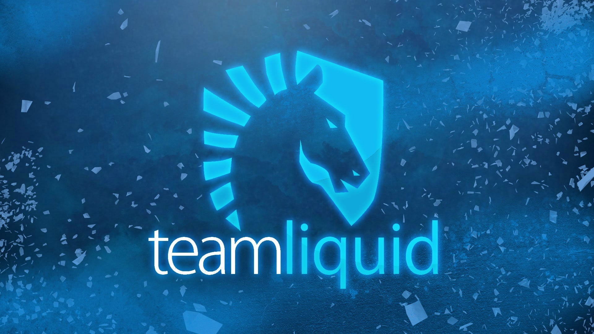 vertebrate, sport, one person, team, e-sports, nature, scuba diving, communication, western script, underwater, adventure, undersea, text, liquid, sea, HD Wallpaper