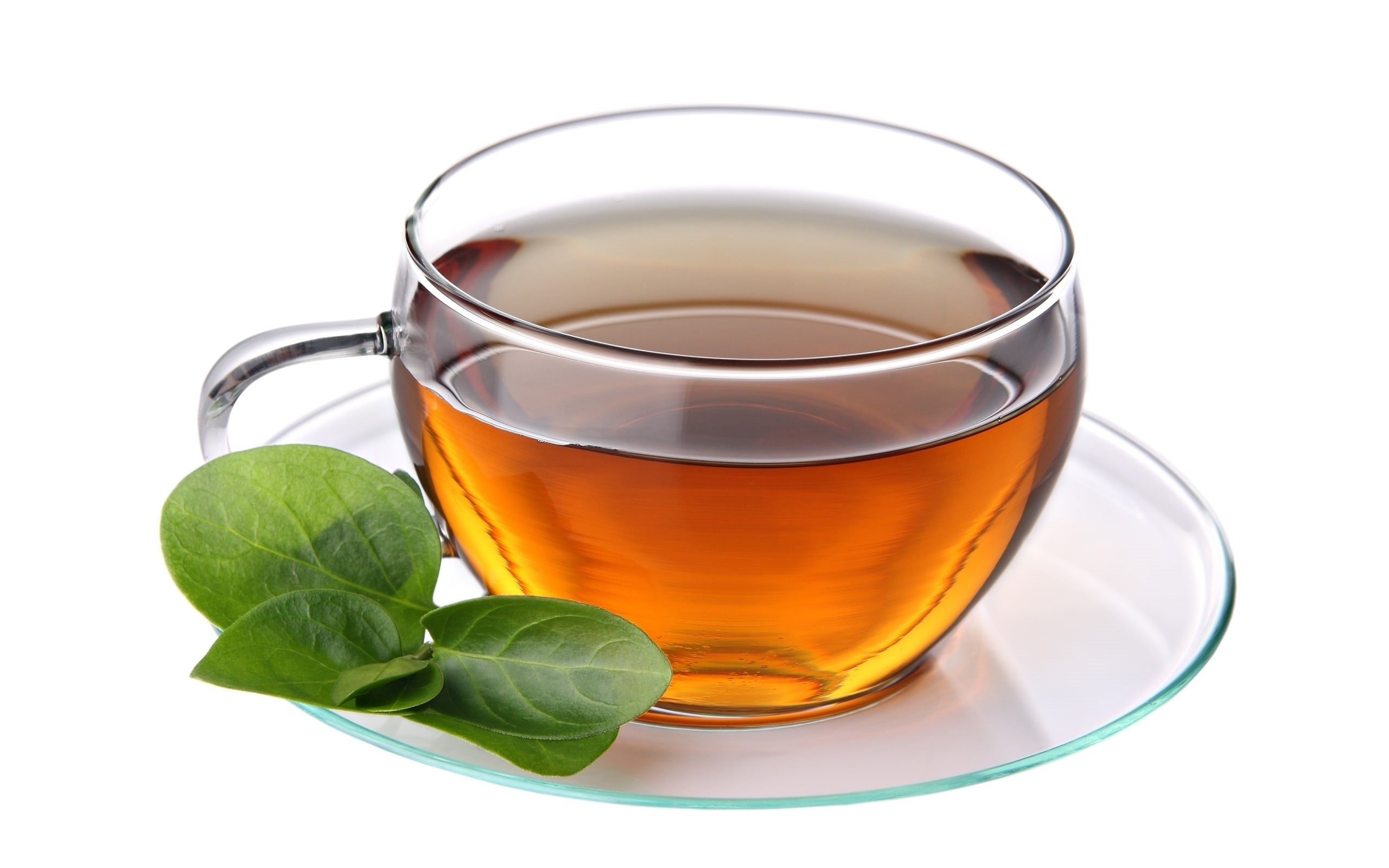 liquid, green, drink, 2K, tea, cup, HD Wallpaper