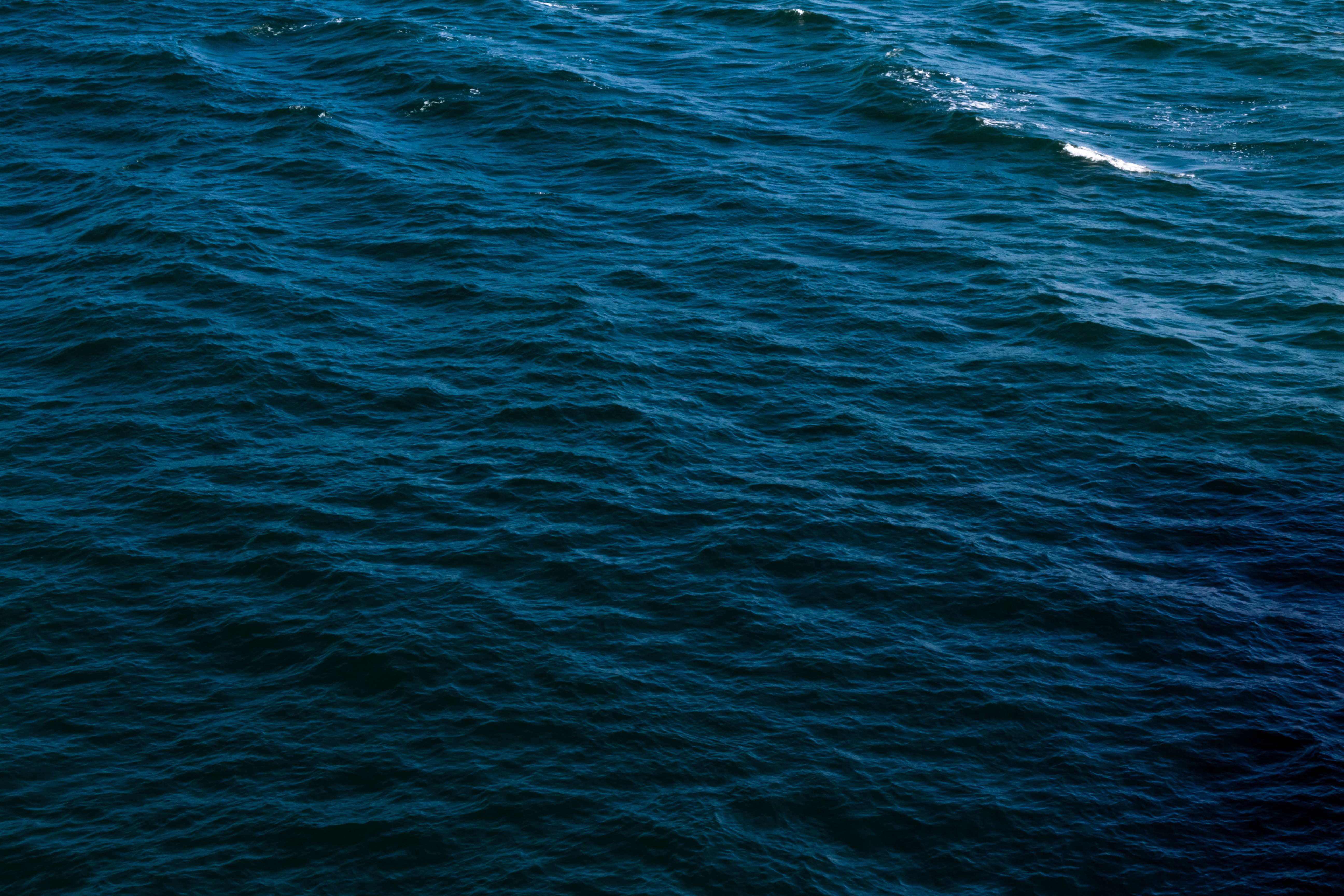 wafe, united states, nature, pattern, water, grass, tranquility, motion, view, beauty in nature, huntington beach, ocean, full frame, flora, day, no people, HD Wallpaper