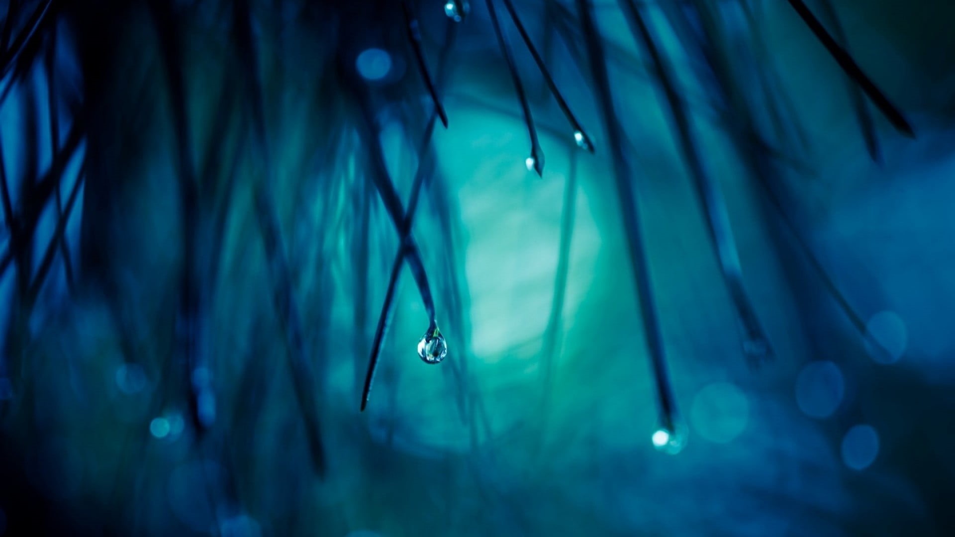 water, backgrounds, rain, 1080P, blue background, day, focus on foreground, macro, dew, wet, raindrop, light - Natural Phenomenon, outdoors, photography, HD Wallpaper