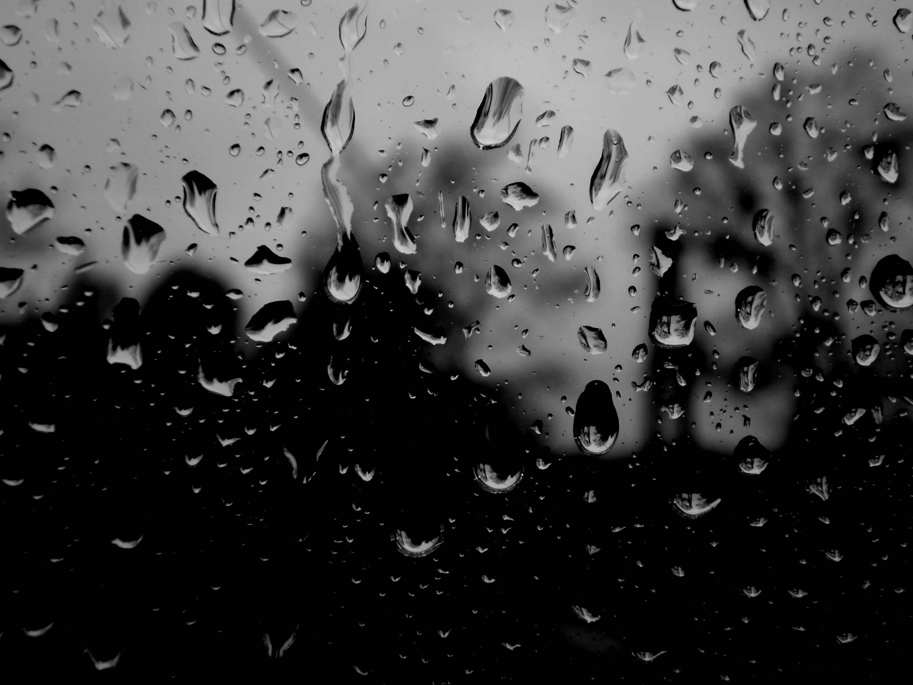 liquid, pattern, condensation, transparent, full frame, no People, monsoon, water, dark, water Surface, drop, water drops, monochrome, dew, water on glass, HD Wallpaper