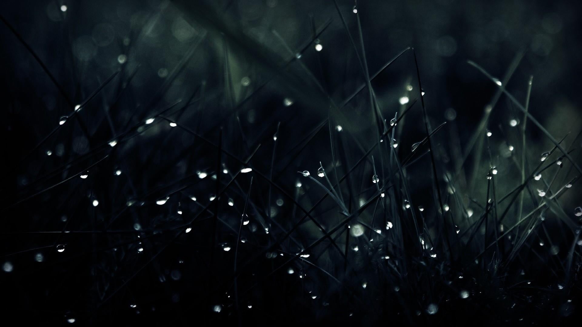 rain, blade of grass, nightlife, no people, raindrop, grass, vulnerability, close-up, outdoors, selective focus, growth, water, waterdrop, water drops, HD Wallpaper