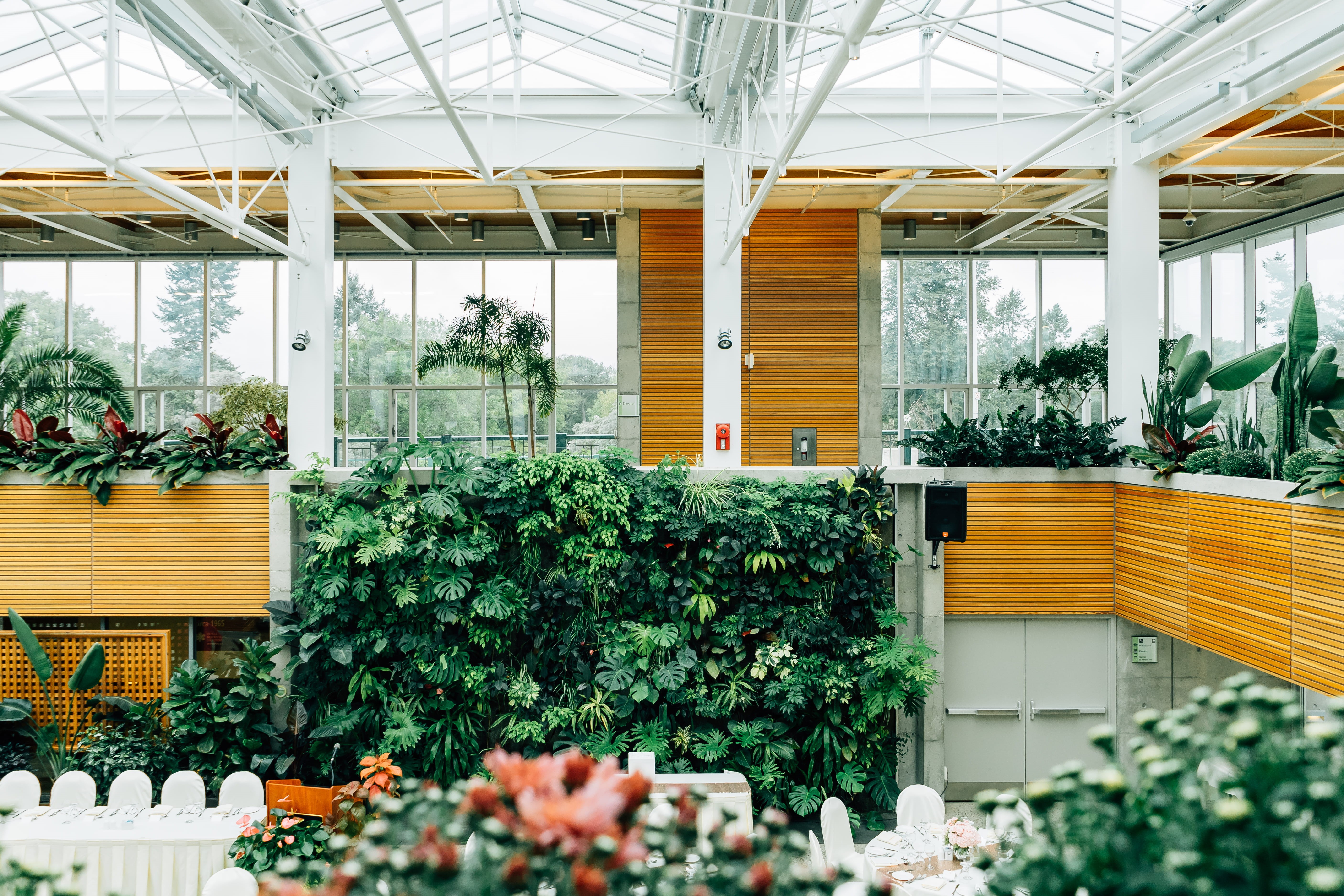 botanical garden, building exterior, structure, built structure, window, wood, potted plant, monstera, 5K, nature, flowering plant, outdoors, botany, interior, HD Wallpaper