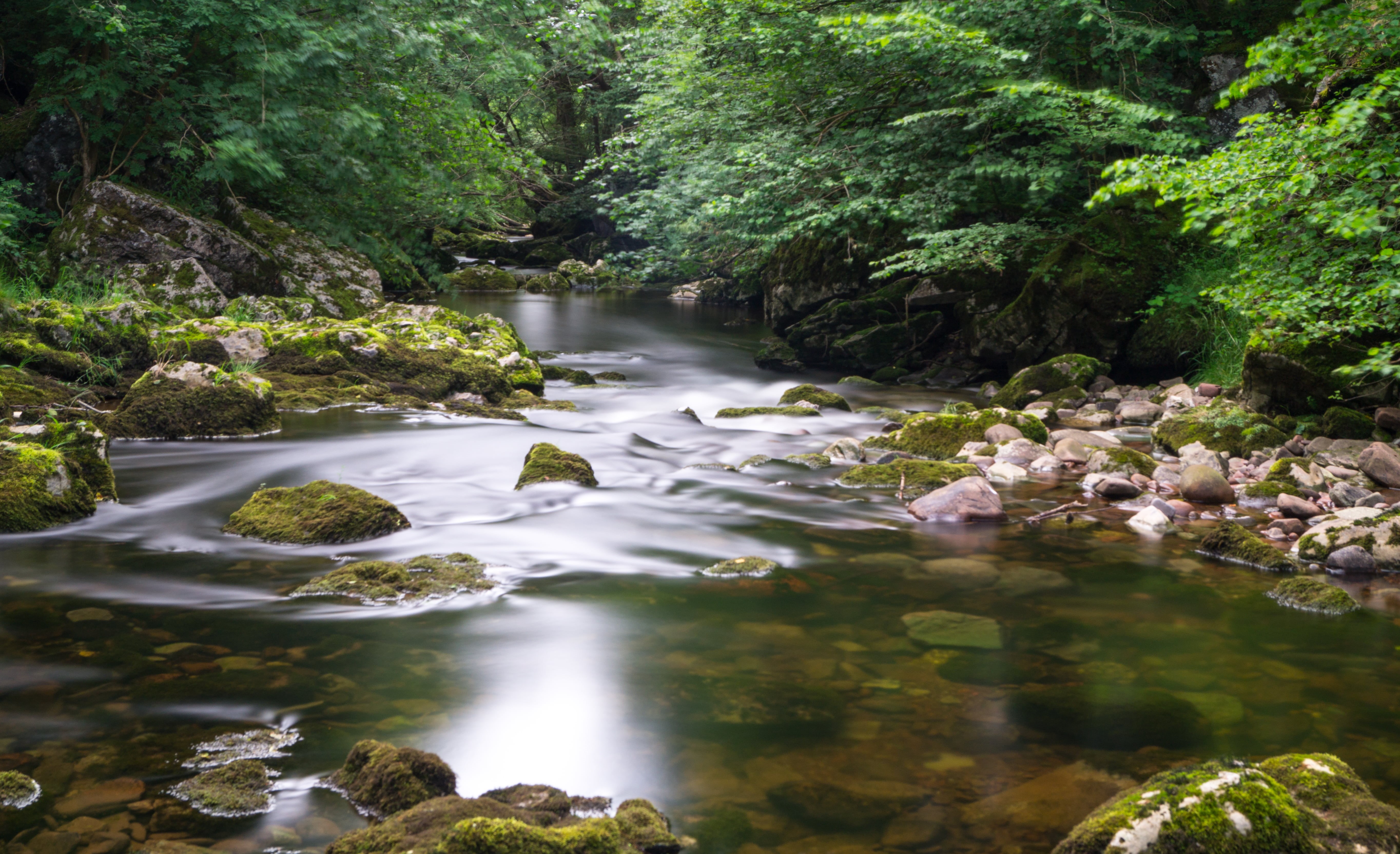 rock, time, forest, brecon  beacons, avon, river, scenics, wales, nature, green Color, long  exposure, rocky, waterfall, mossy, Melting Away, stream, uk, HD Wallpaper