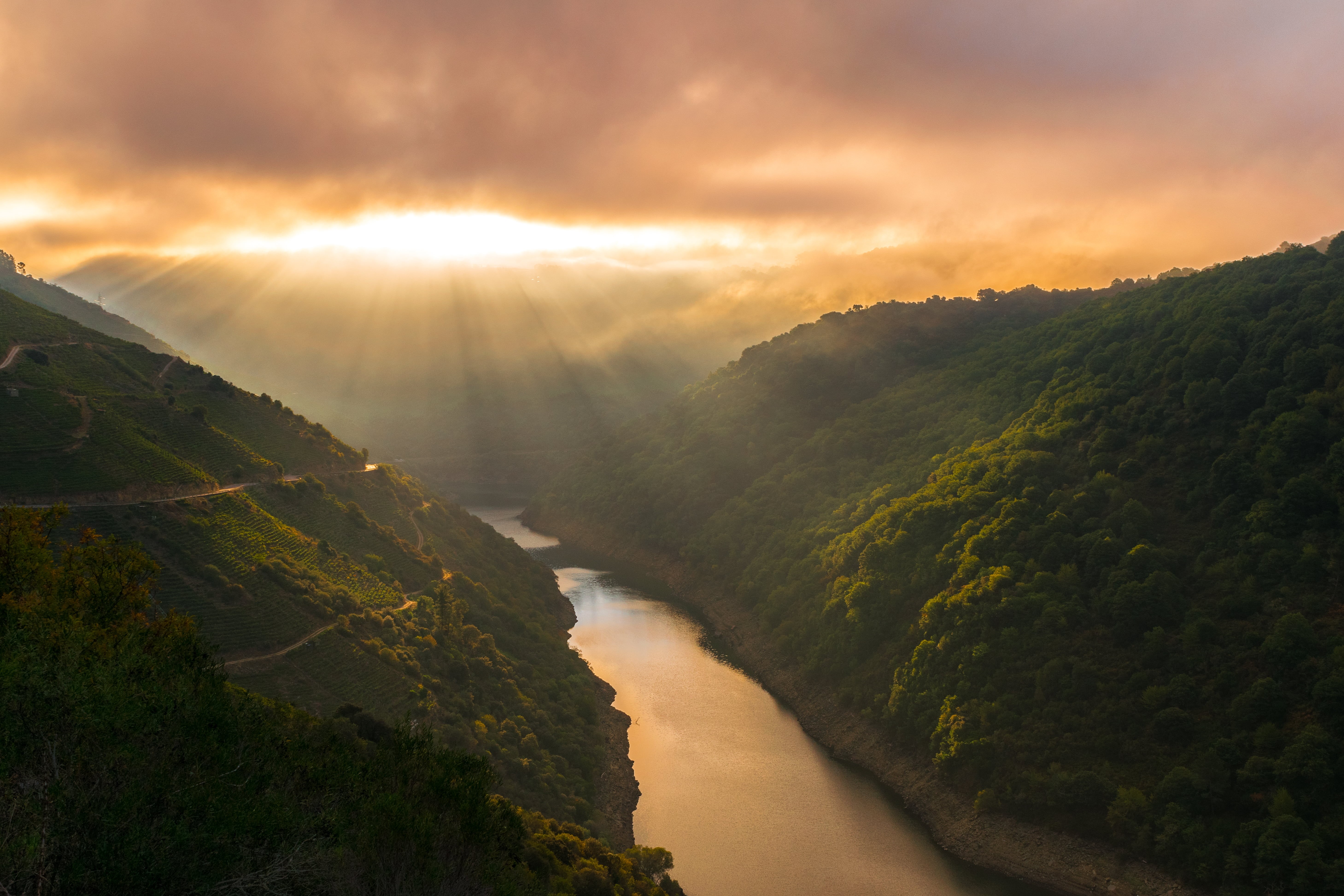 scenics, landscape, green forest, montaña, Lugo, alba, outdoors, nature, Europa, España, el Río, sunset, forest, flowing, amanecer, ngc, clouds, europe, HD Wallpaper