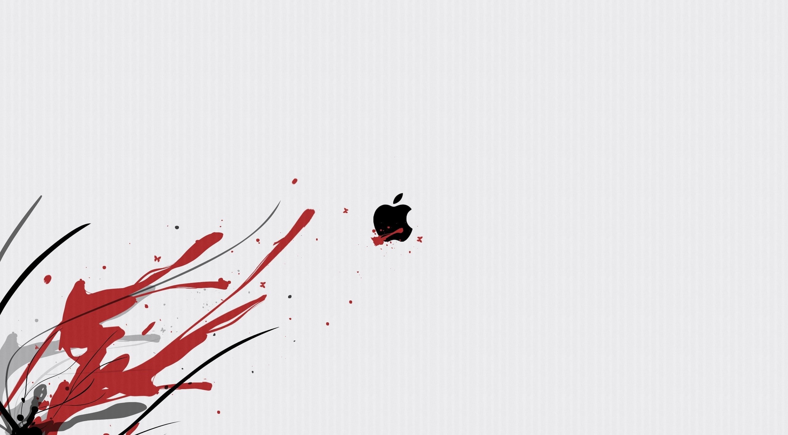 studio shot, 2K, no people, perching, pattern, Background, wall - building feature, Apple, Computers, full frame, animals in the wild, day, bird, one animal, HD Wallpaper